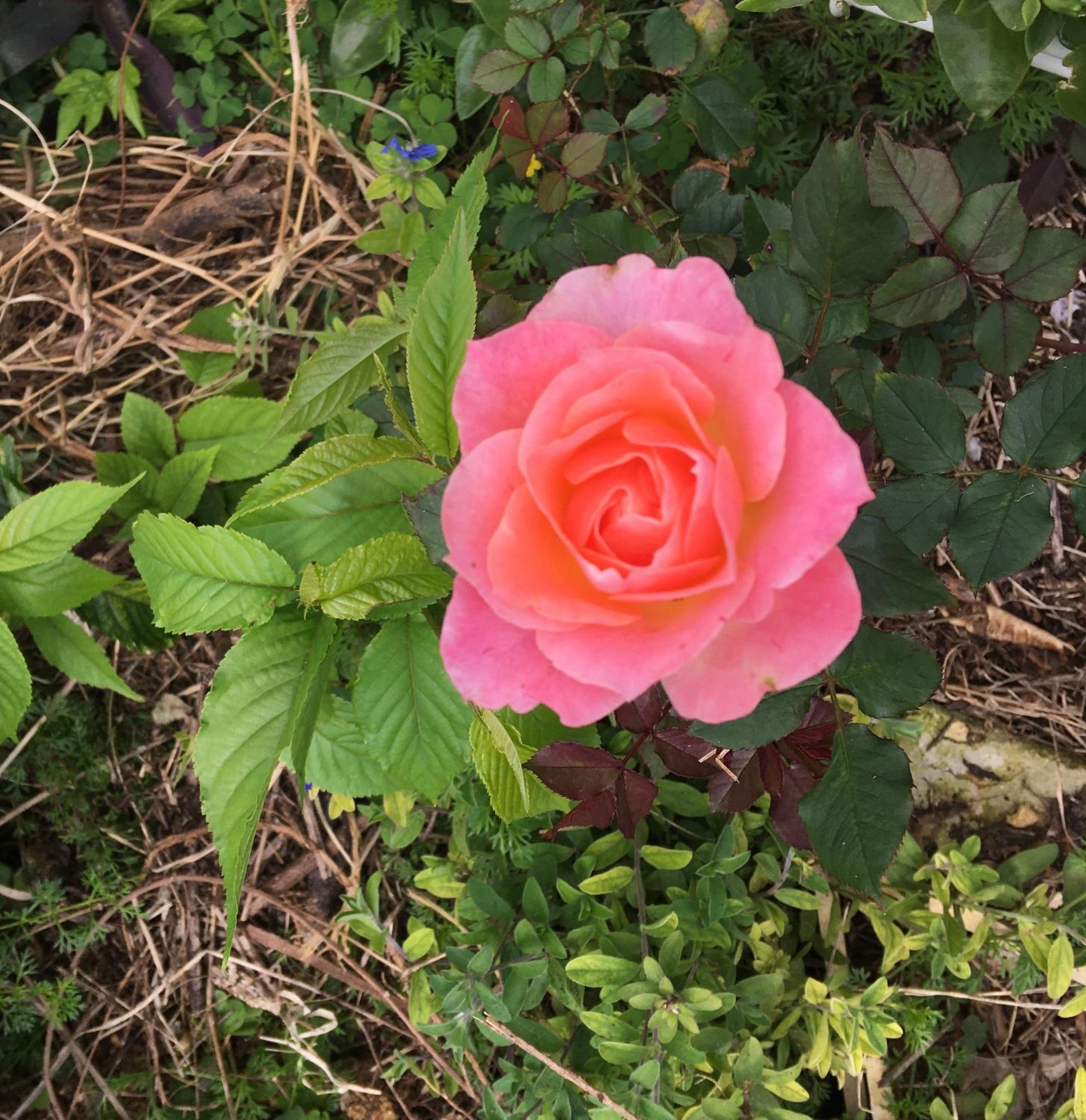 Photo 26