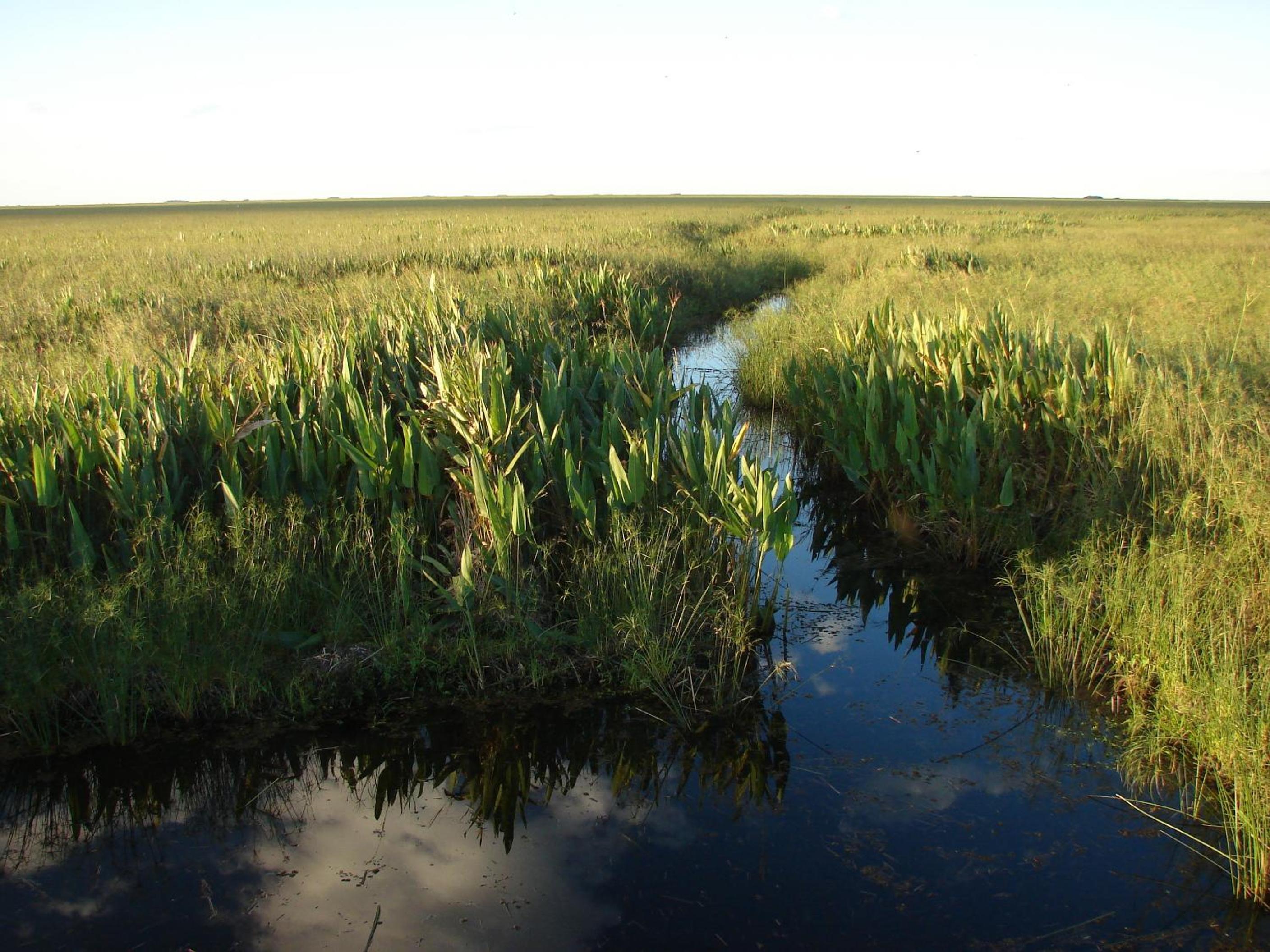 Posada Uguay - Esteros del Iberá