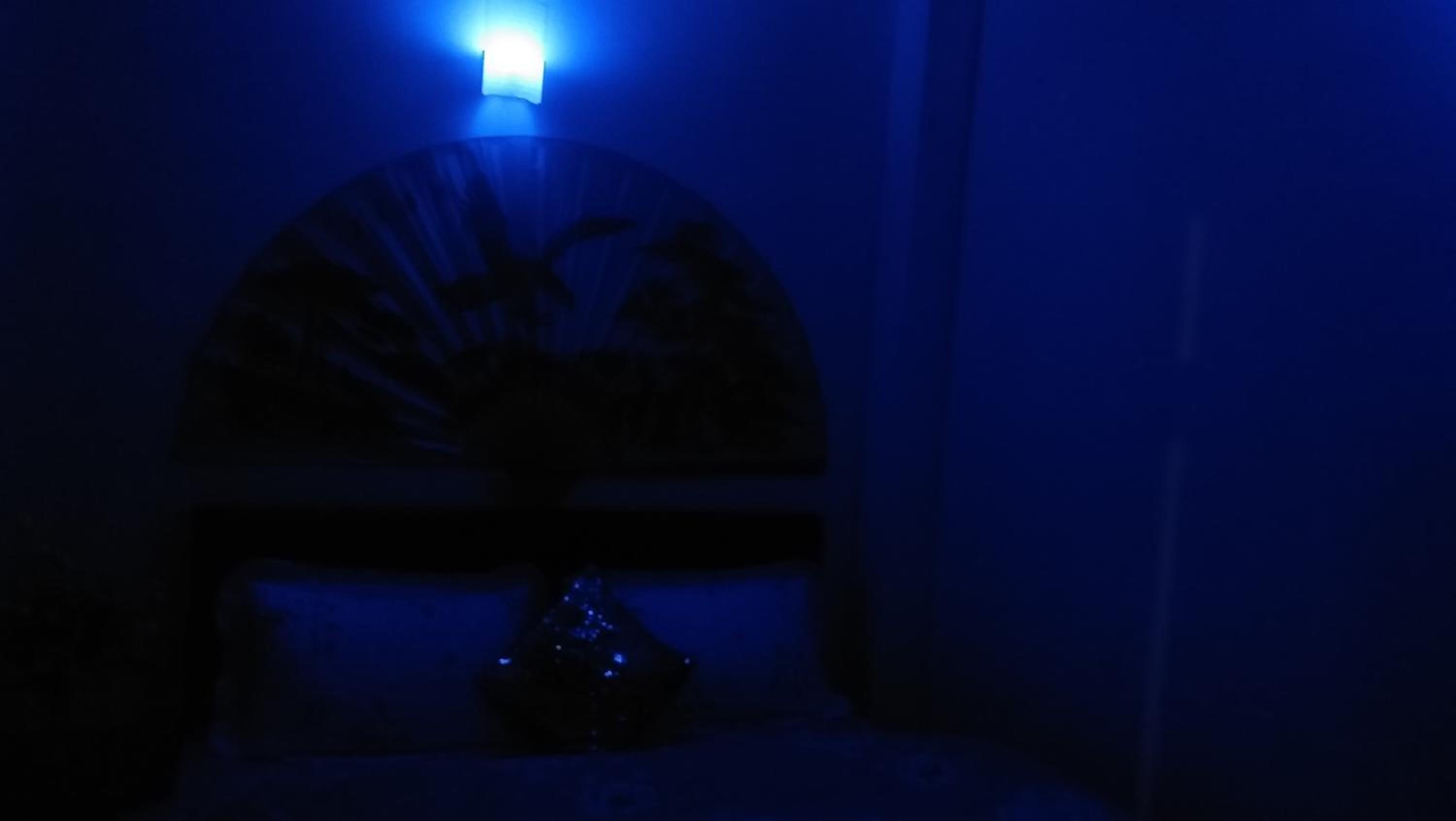 Photo 26