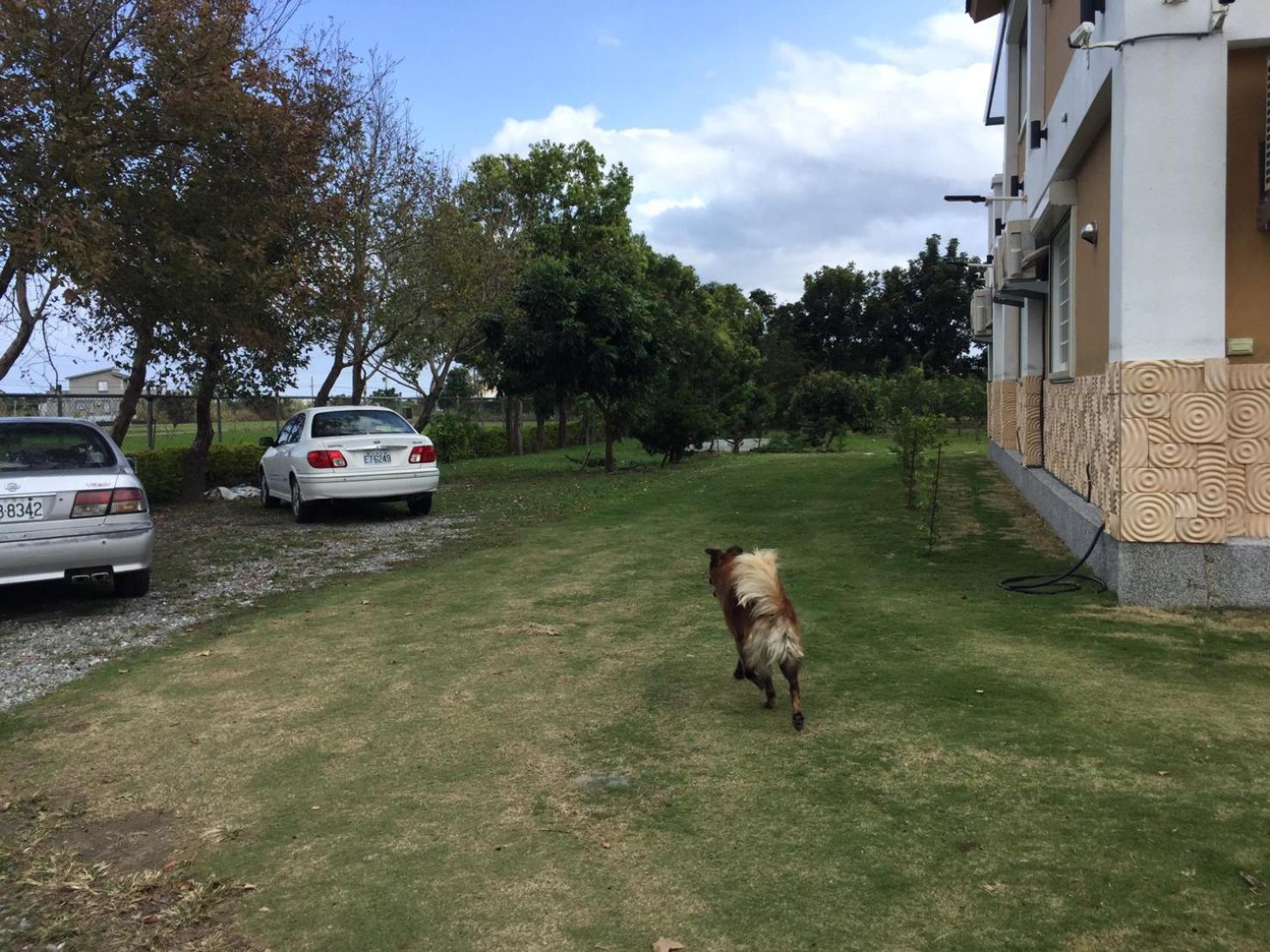 Photo 48