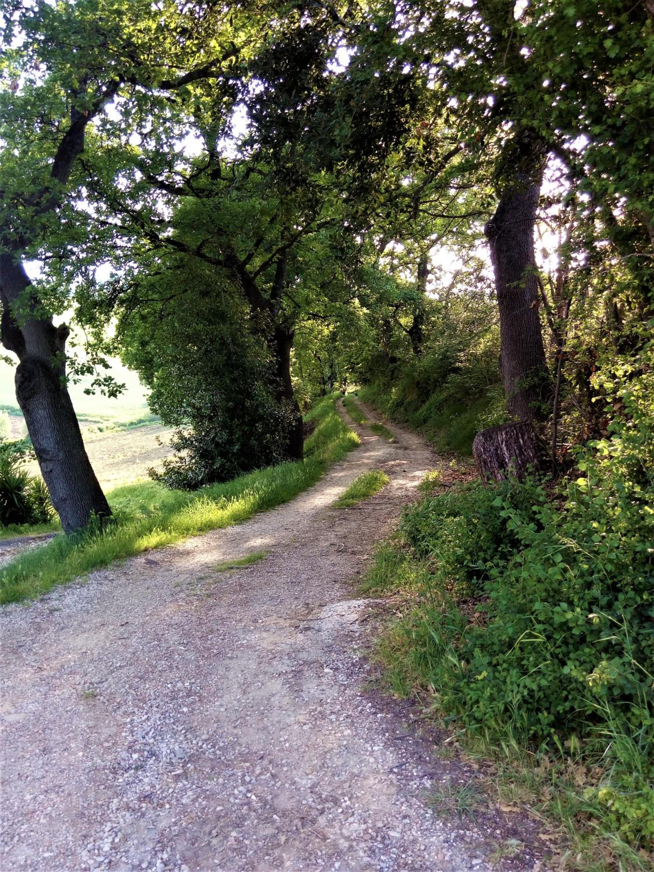 Photo 43