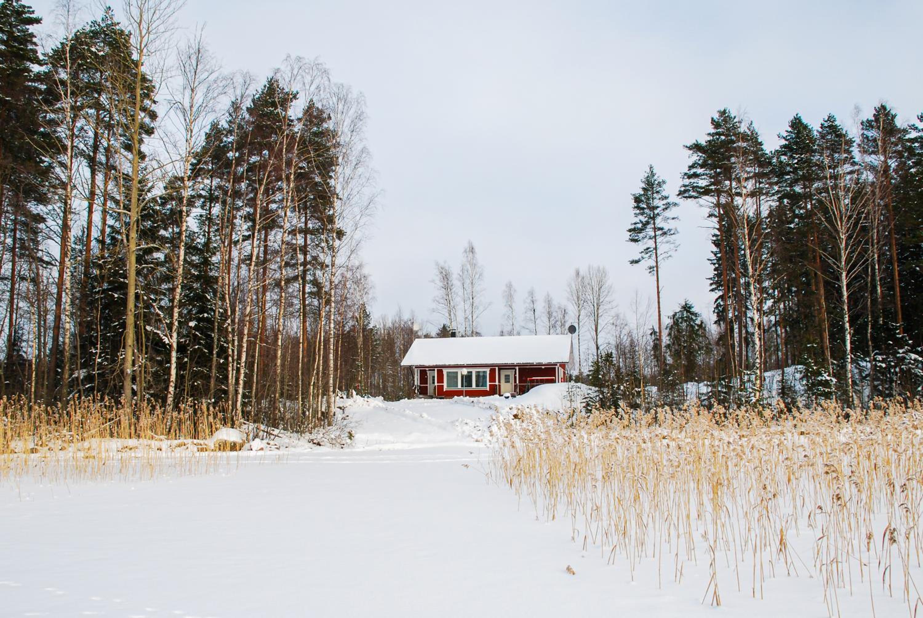 Photo 22