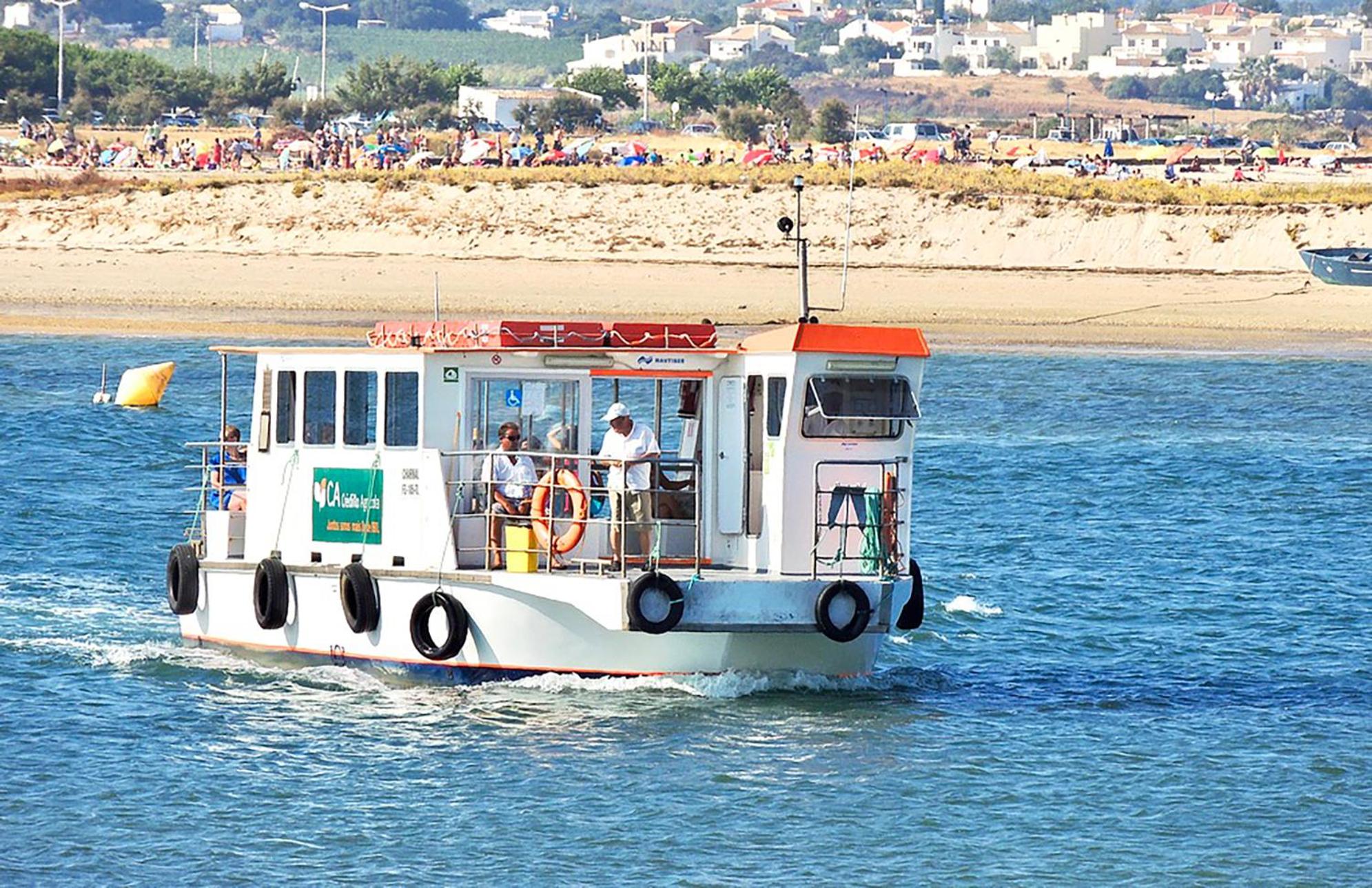 Photo 100