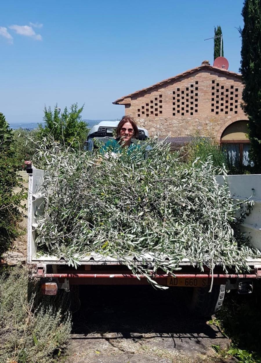 Agriturismo Rigone in Chianti
