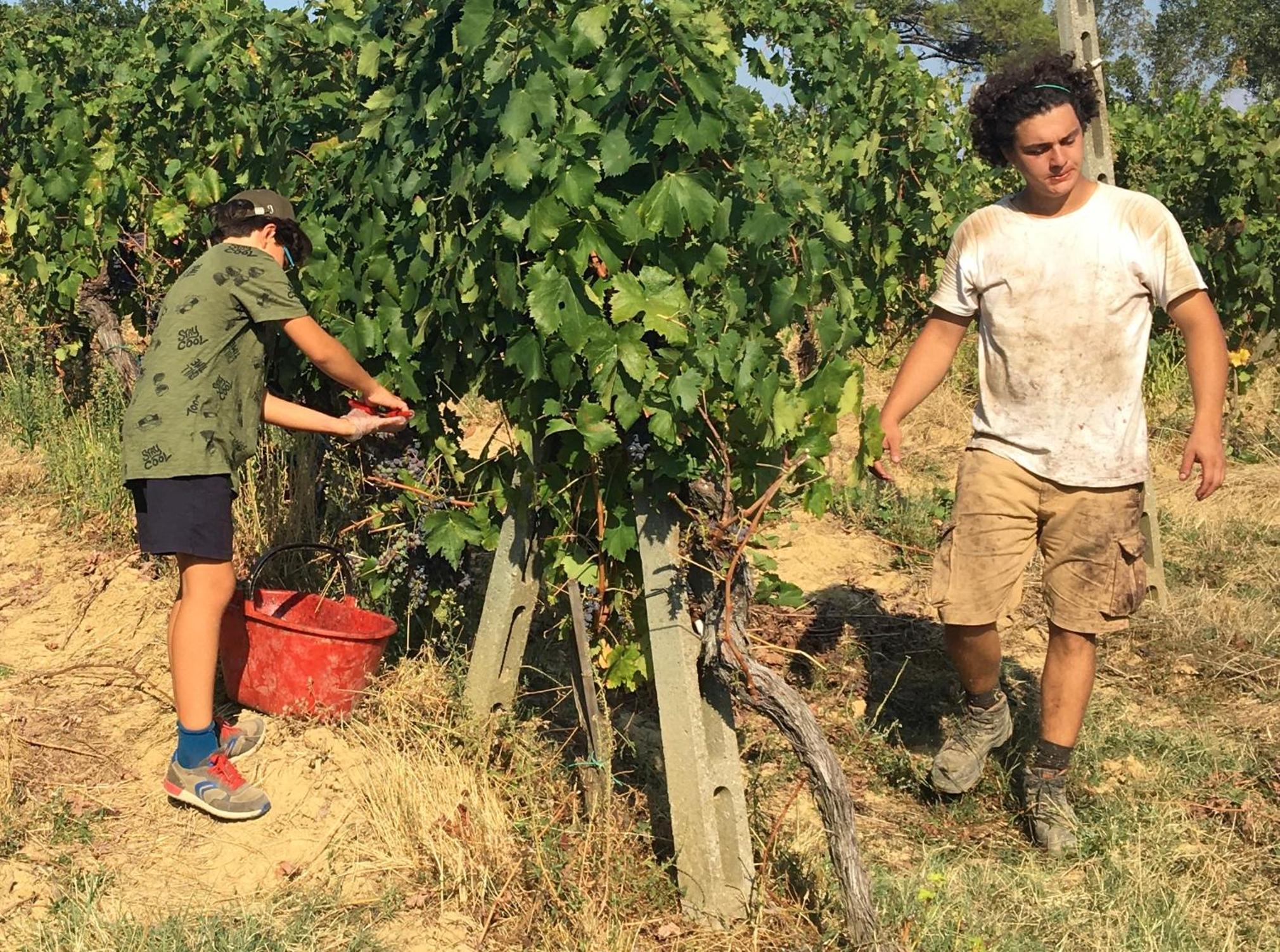 Agriturismo Rigone in Chianti