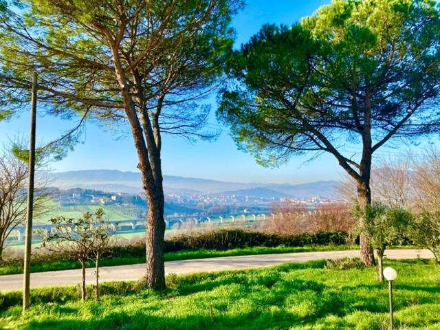 Tenuta Il Sogno view 4