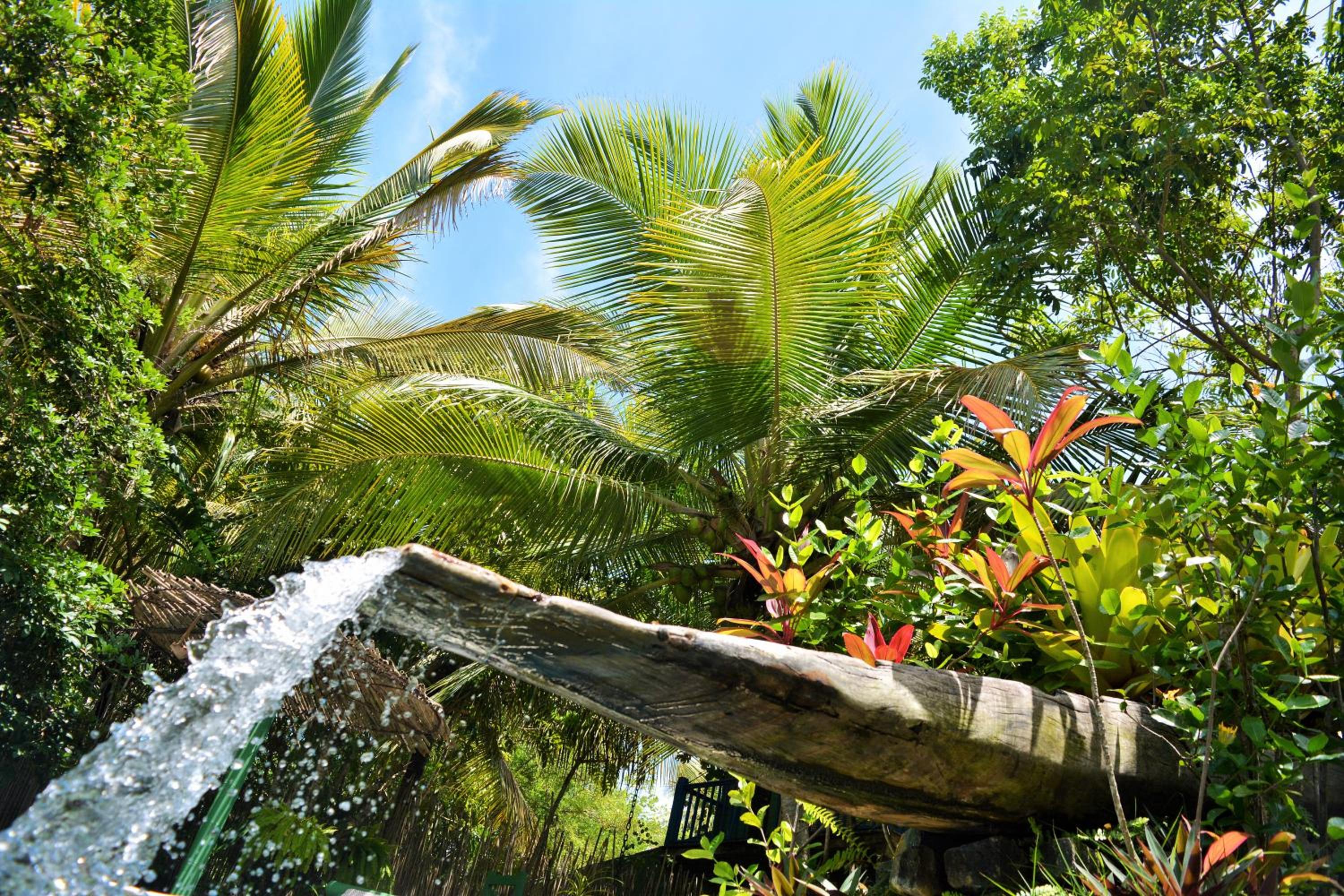 Butterfly House Bahia