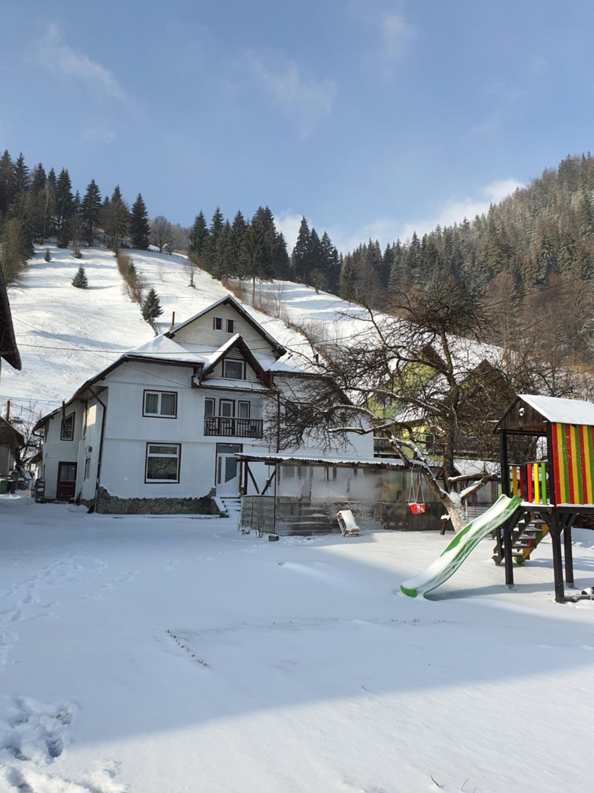 Photo 45