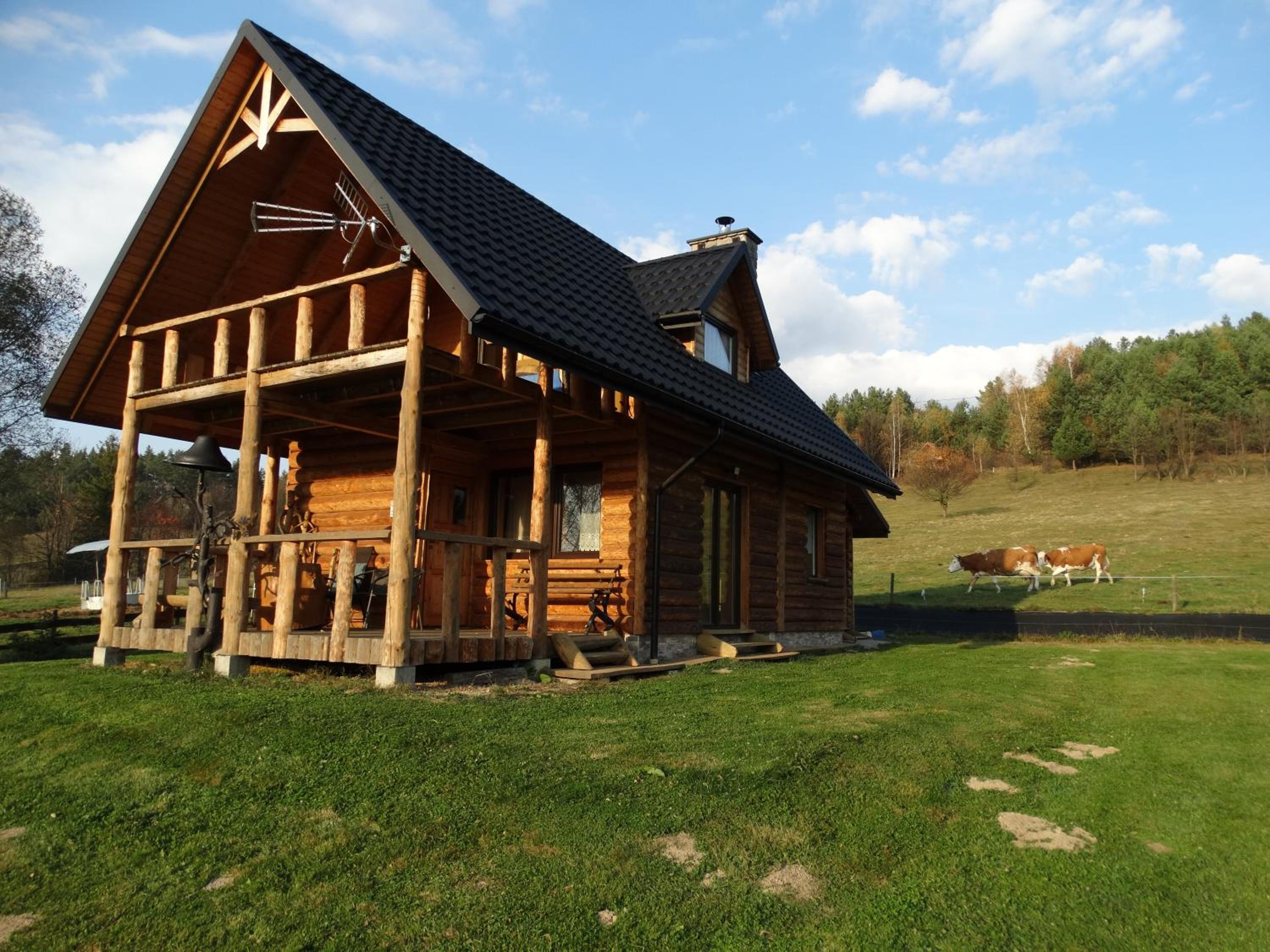 Wilczy Mszaniec view 4