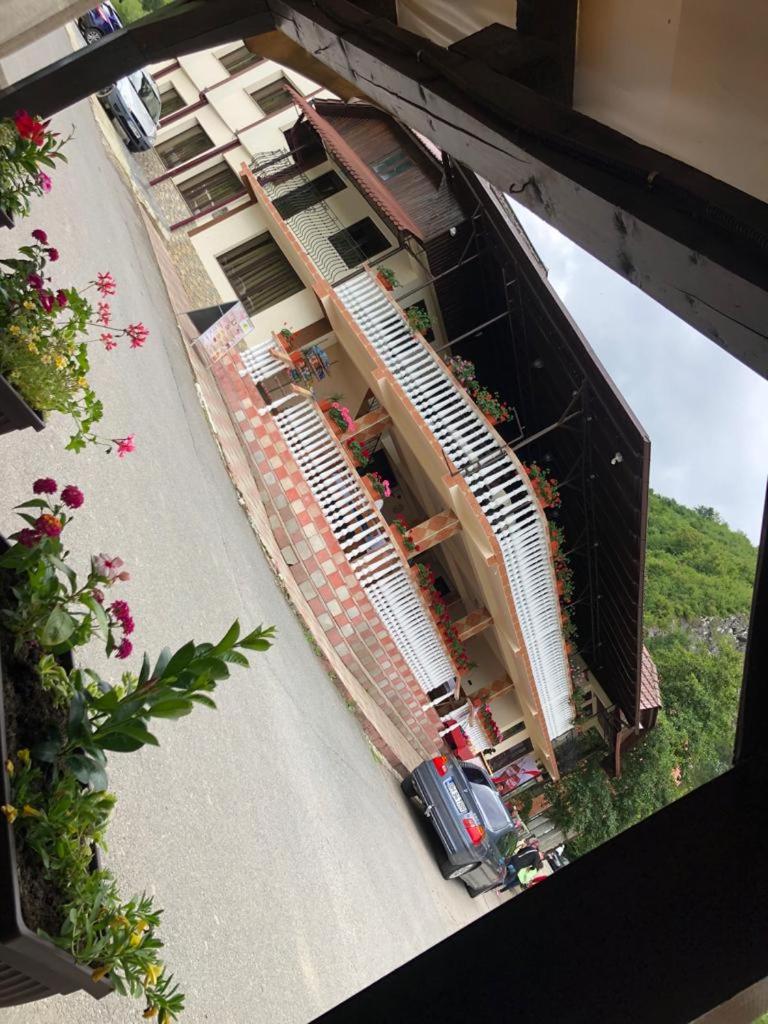 Pensiunea Mirela Peștera Urșilor view 3