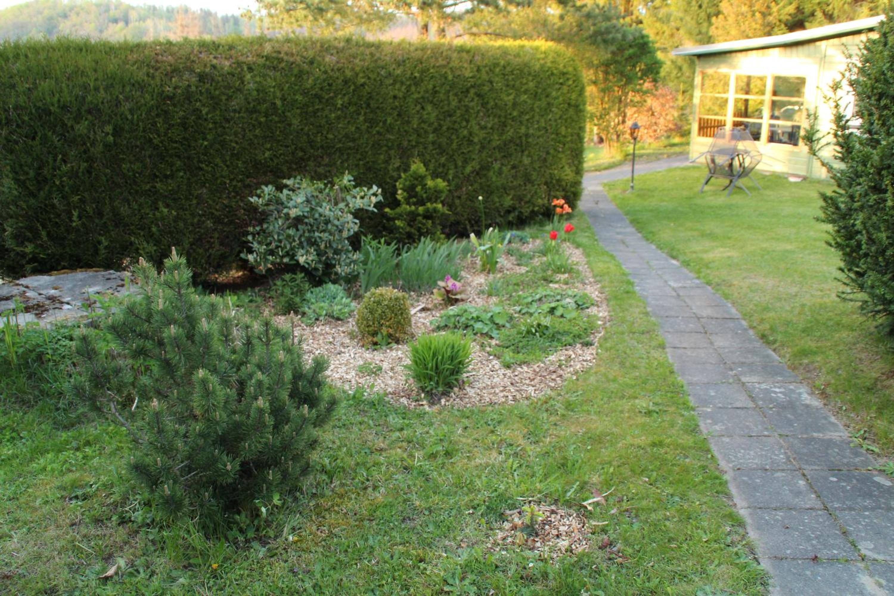 Photo 37