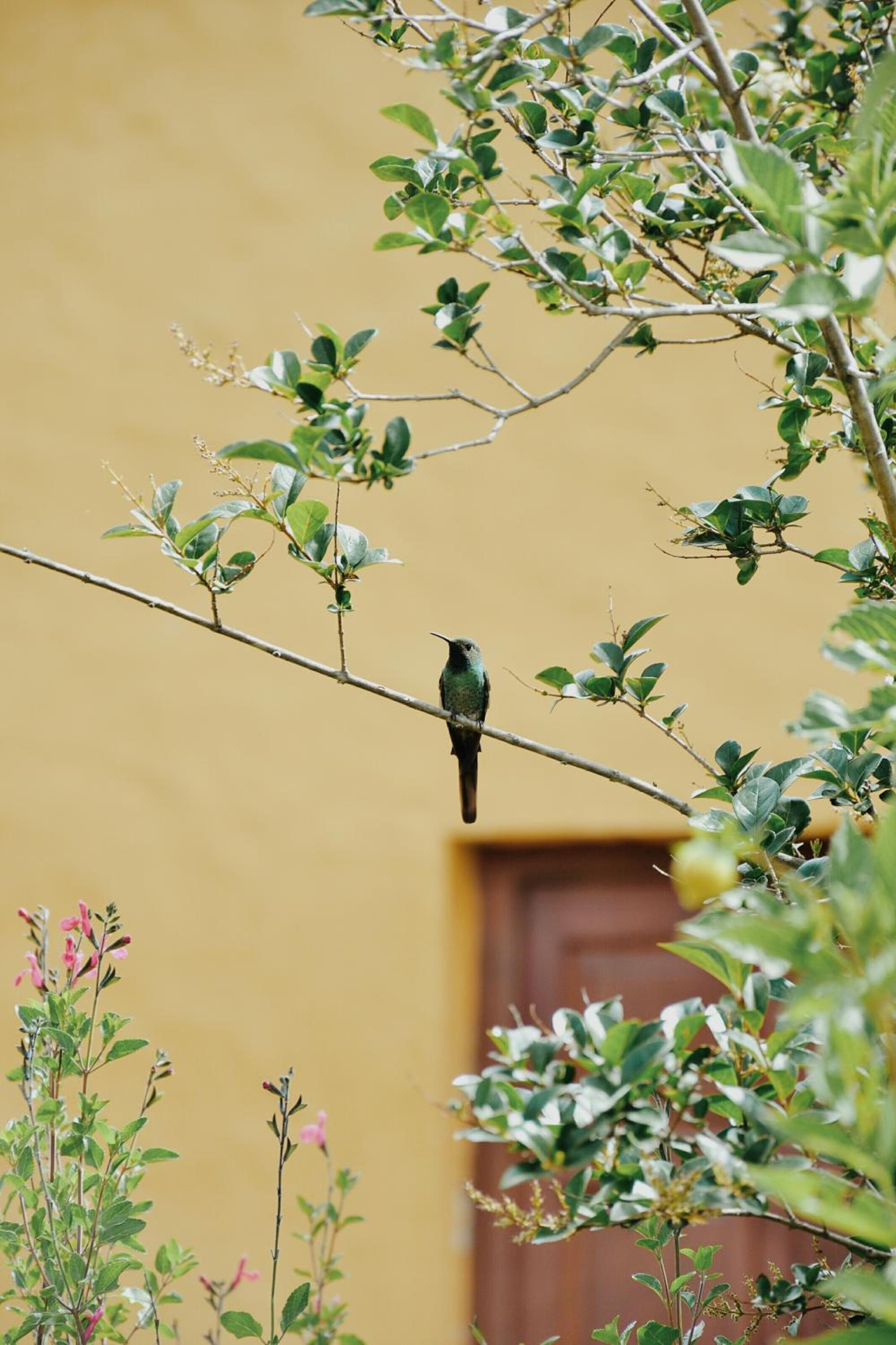 Casa en Tafí del Valle