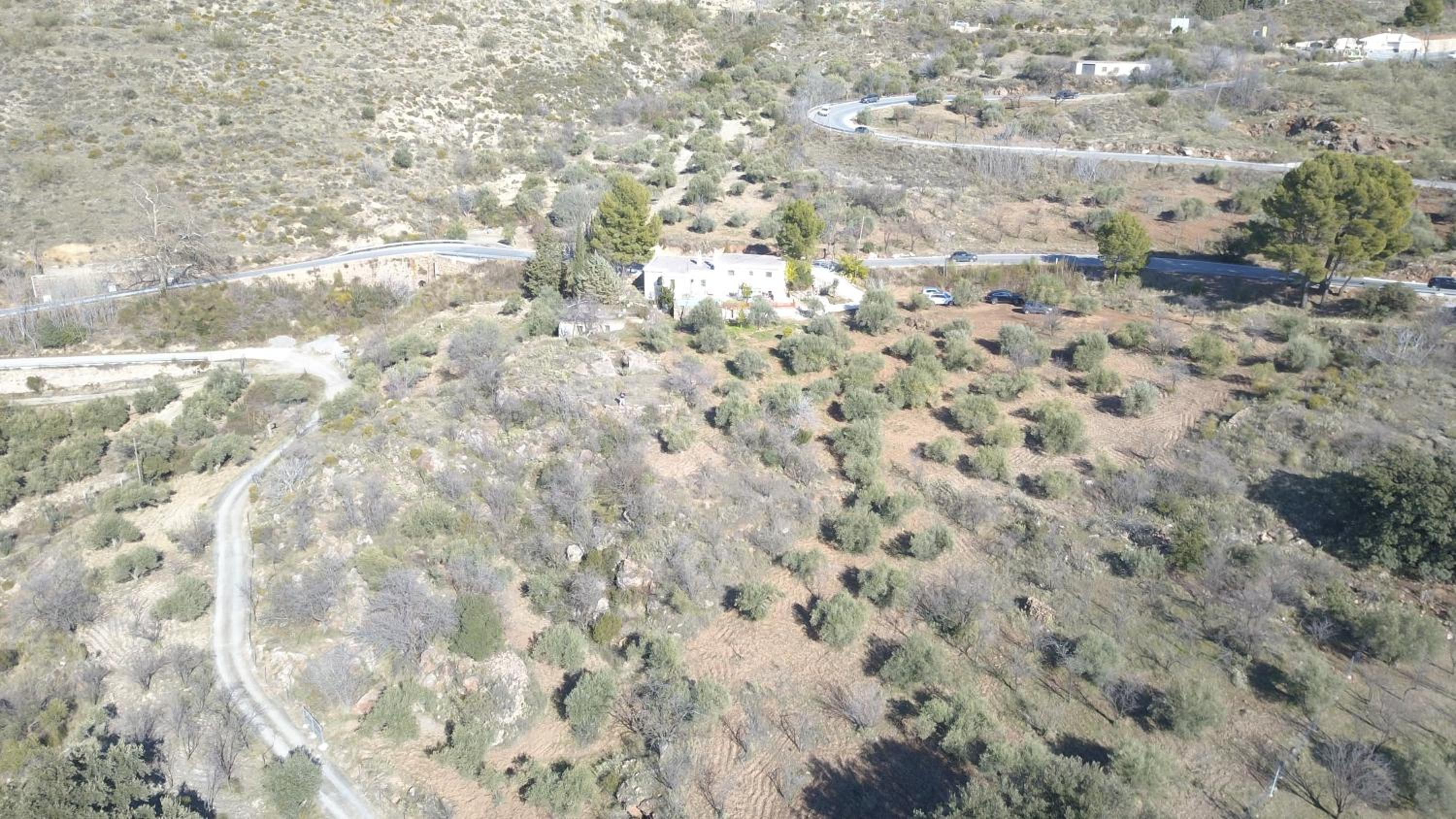 Finca Las Fuentezuelas view 3