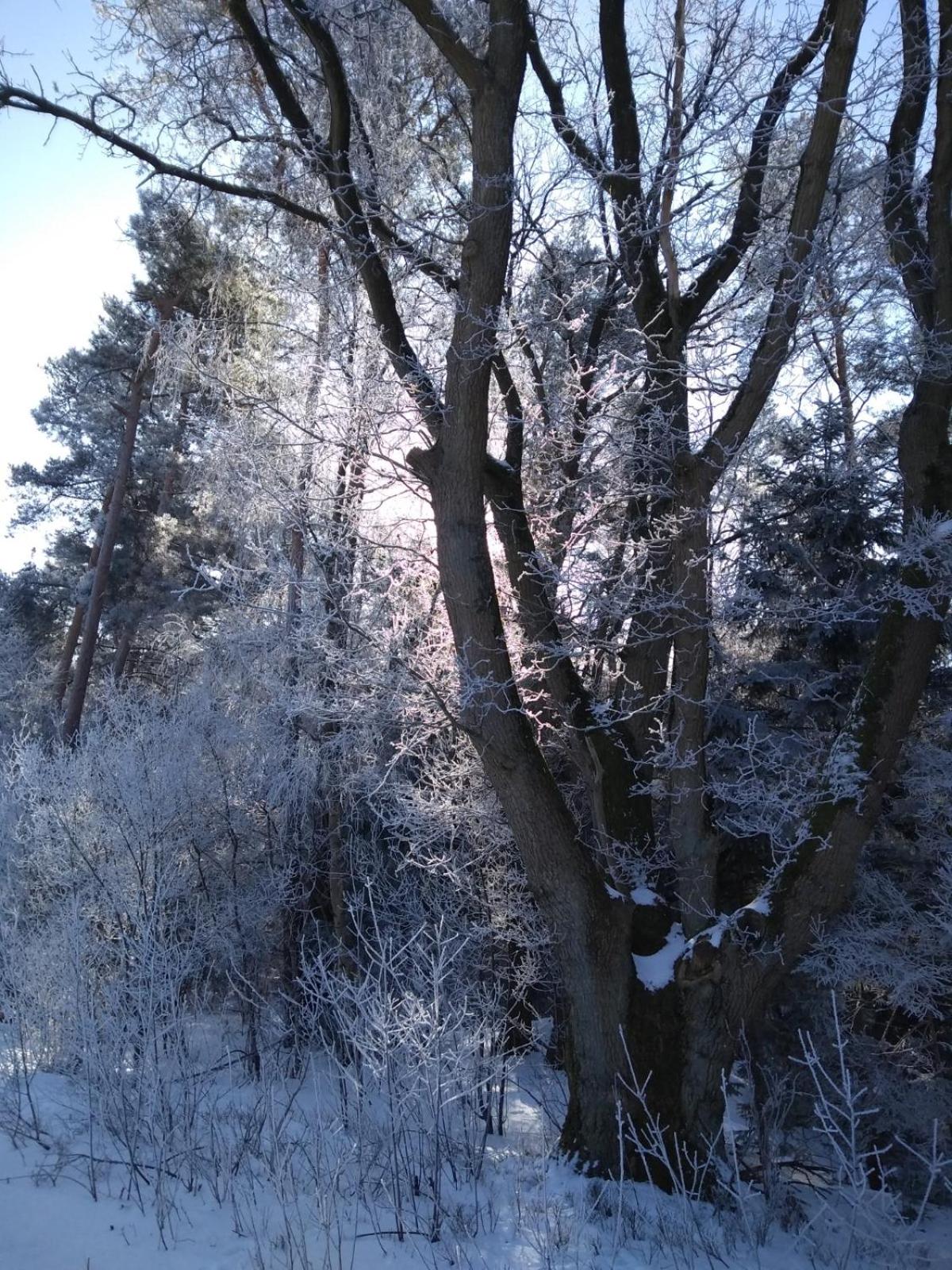 Haus am See