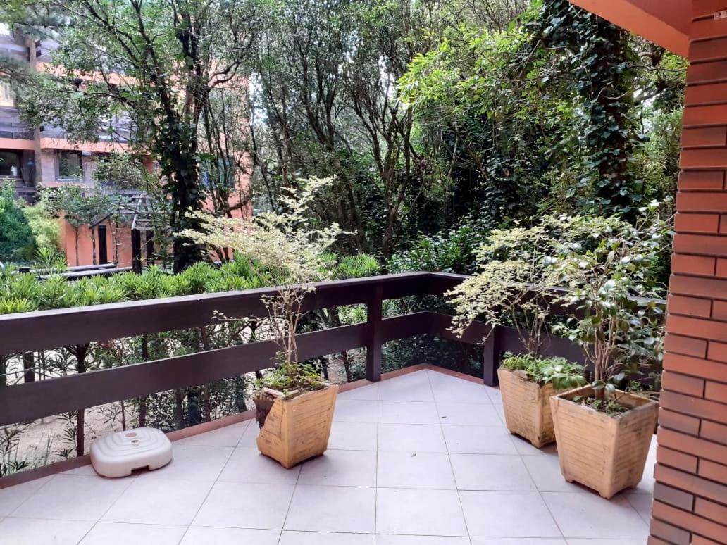 Resort com Natureza no Centro view 2