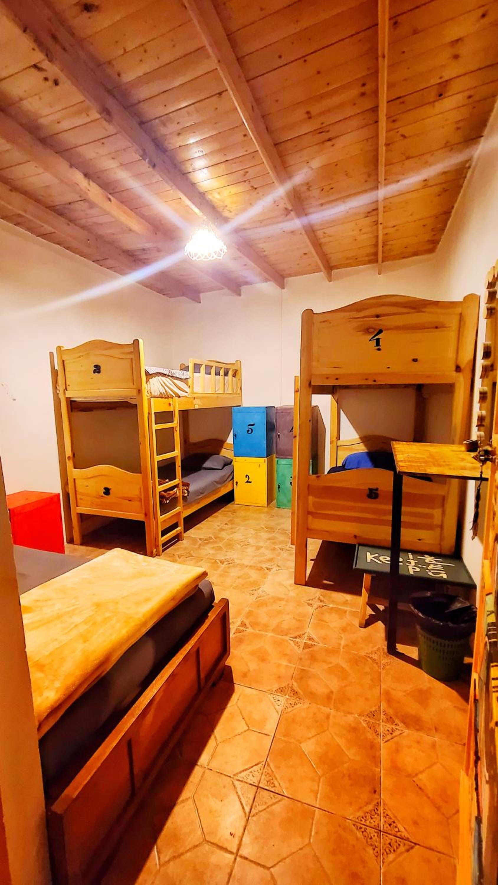 Photo 19