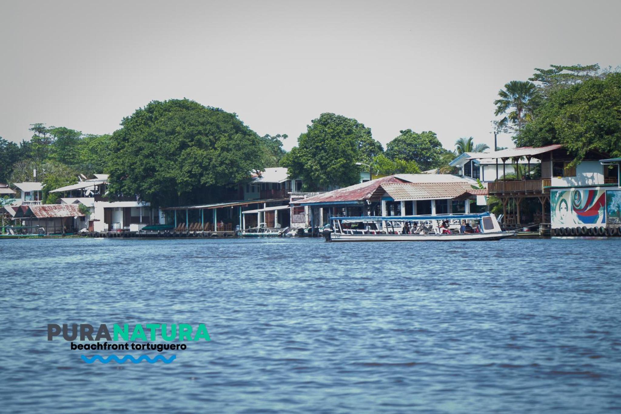 Hotel Pura Natura Beachfront Tortuguero
