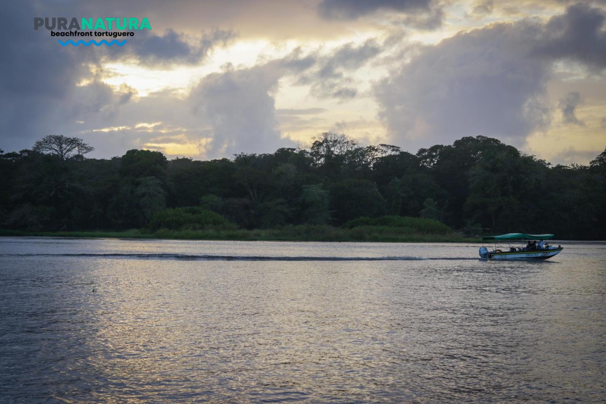 Hotel Pura Natura Beachfront Tortuguero
