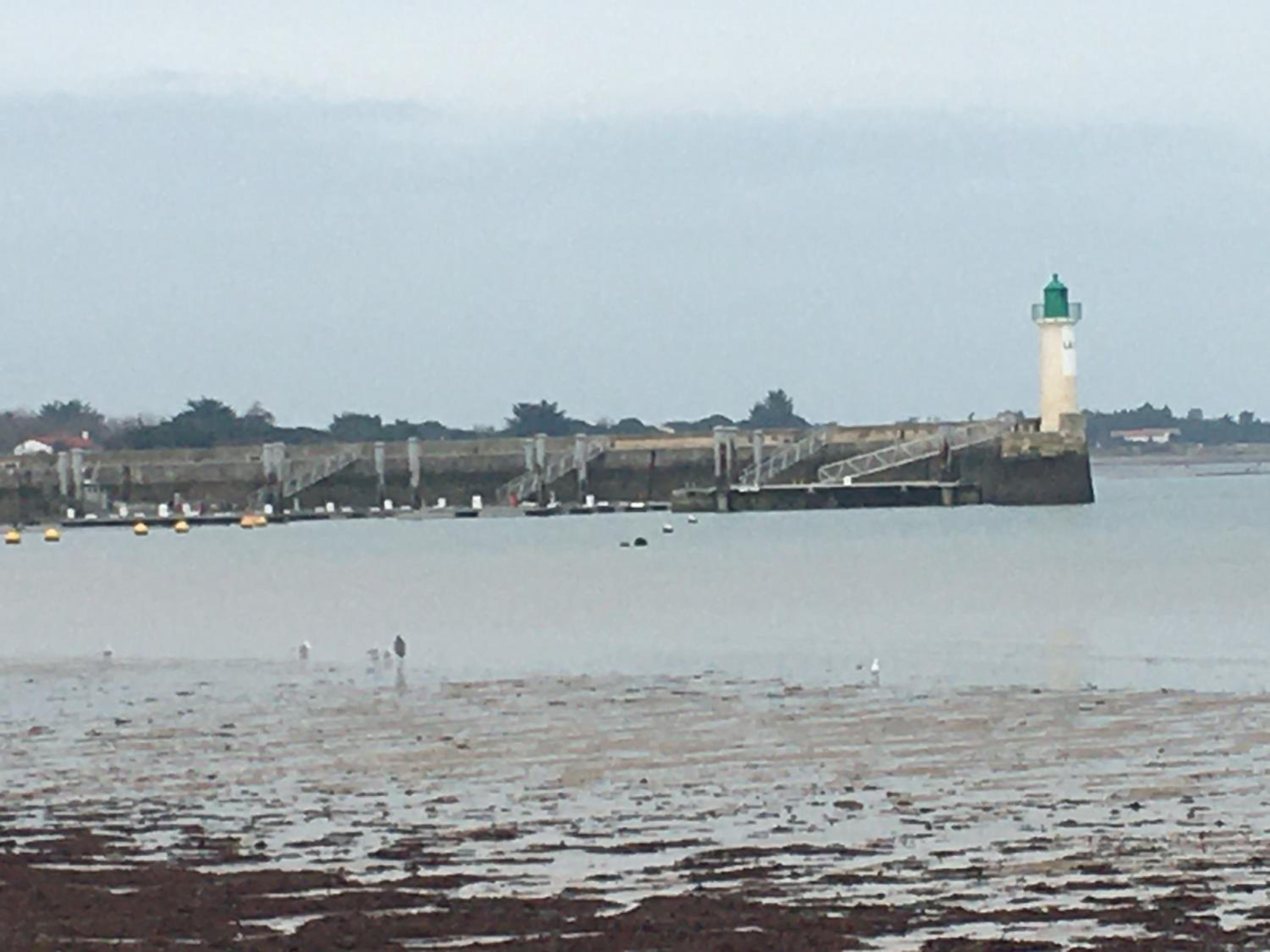 La Petite Maison sur l'Ile de Ré view 5