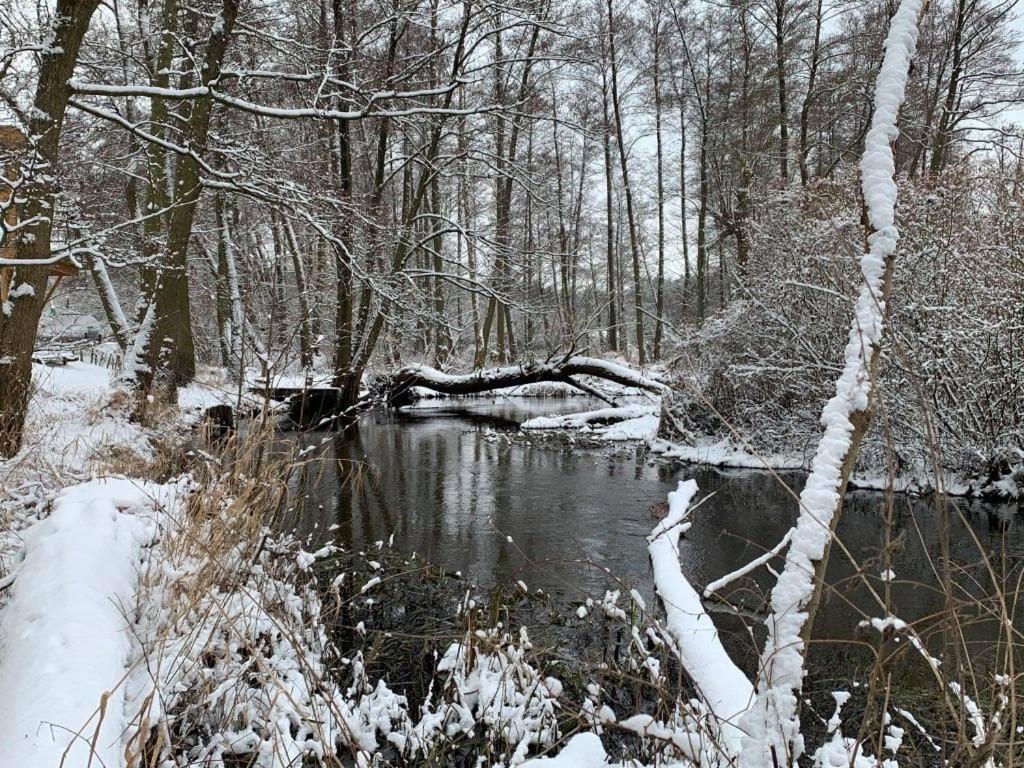 Domek na drzewie w Dolinie Uradu
