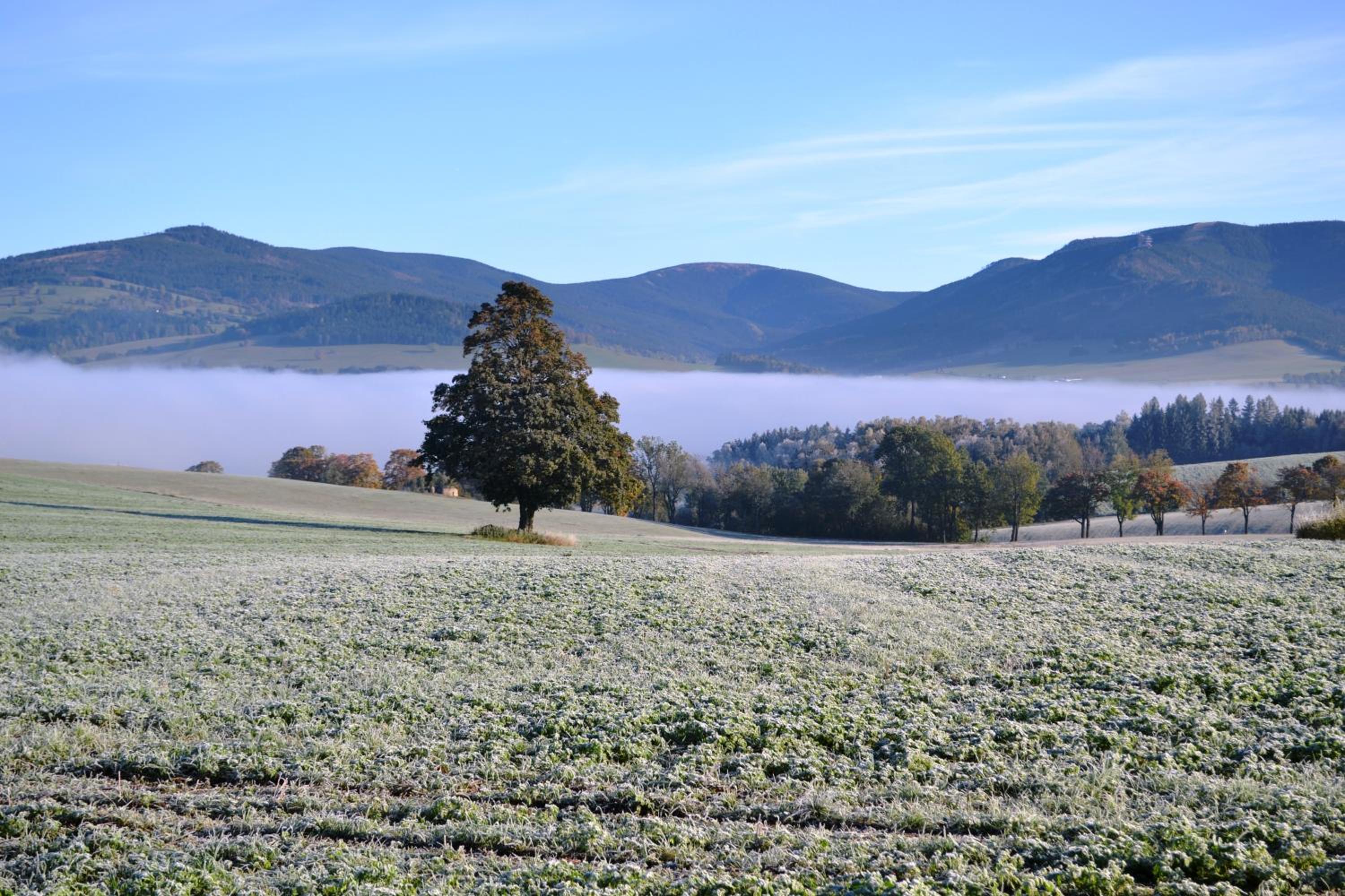 Photo 67