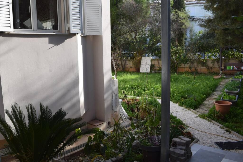 h2h Anthi #Comfort apt near Athens
