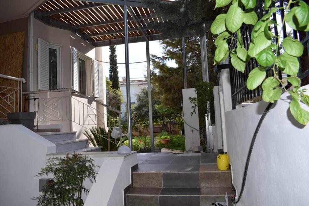 h2h Anthi #Comfort apt near Athens