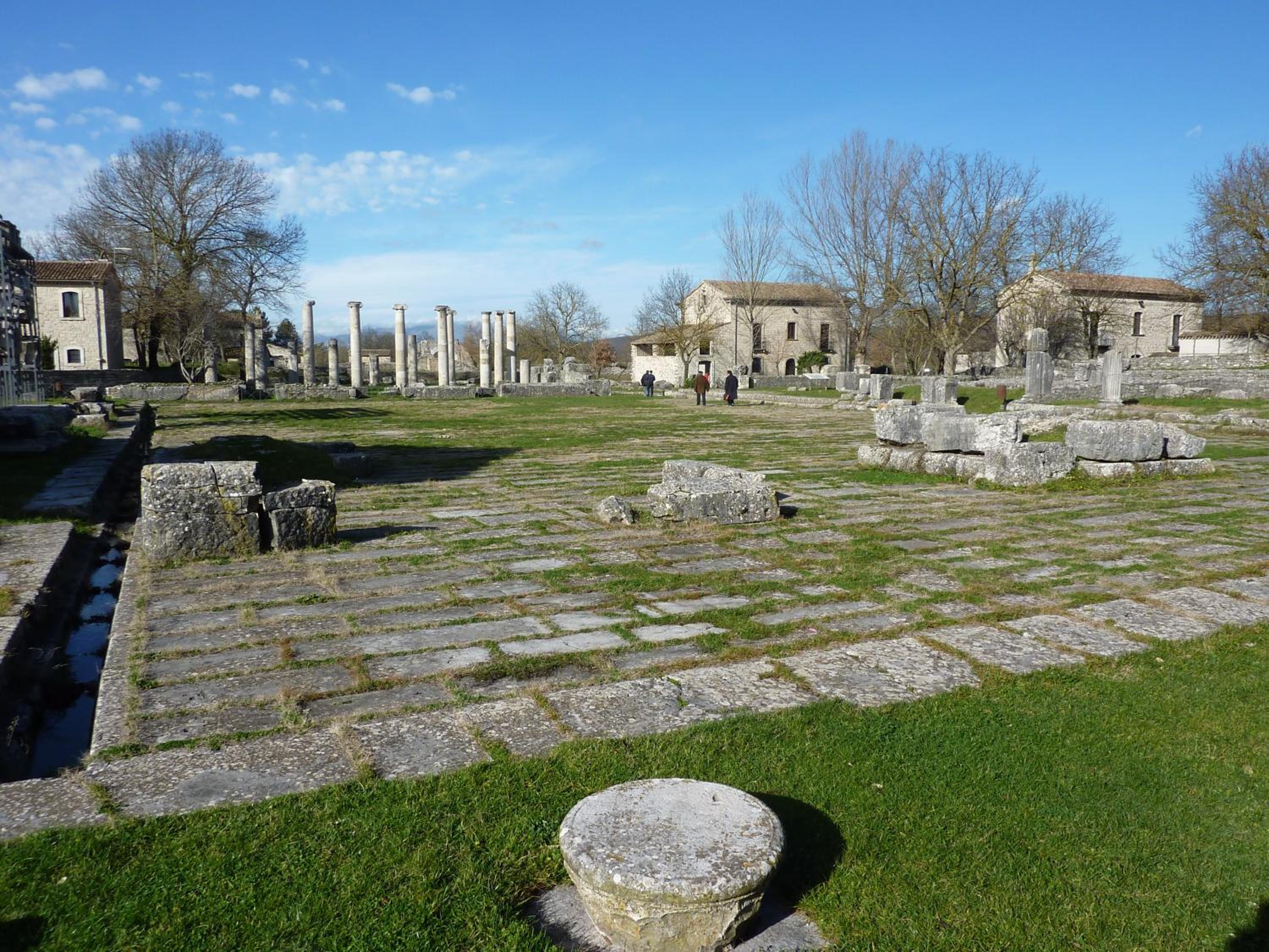 Photo 41