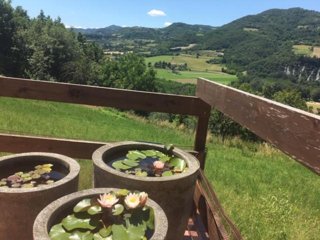 Casa Petra - Casa Tre Stelle - Casa Caneva - Ferien für 6-14 Personen view 4