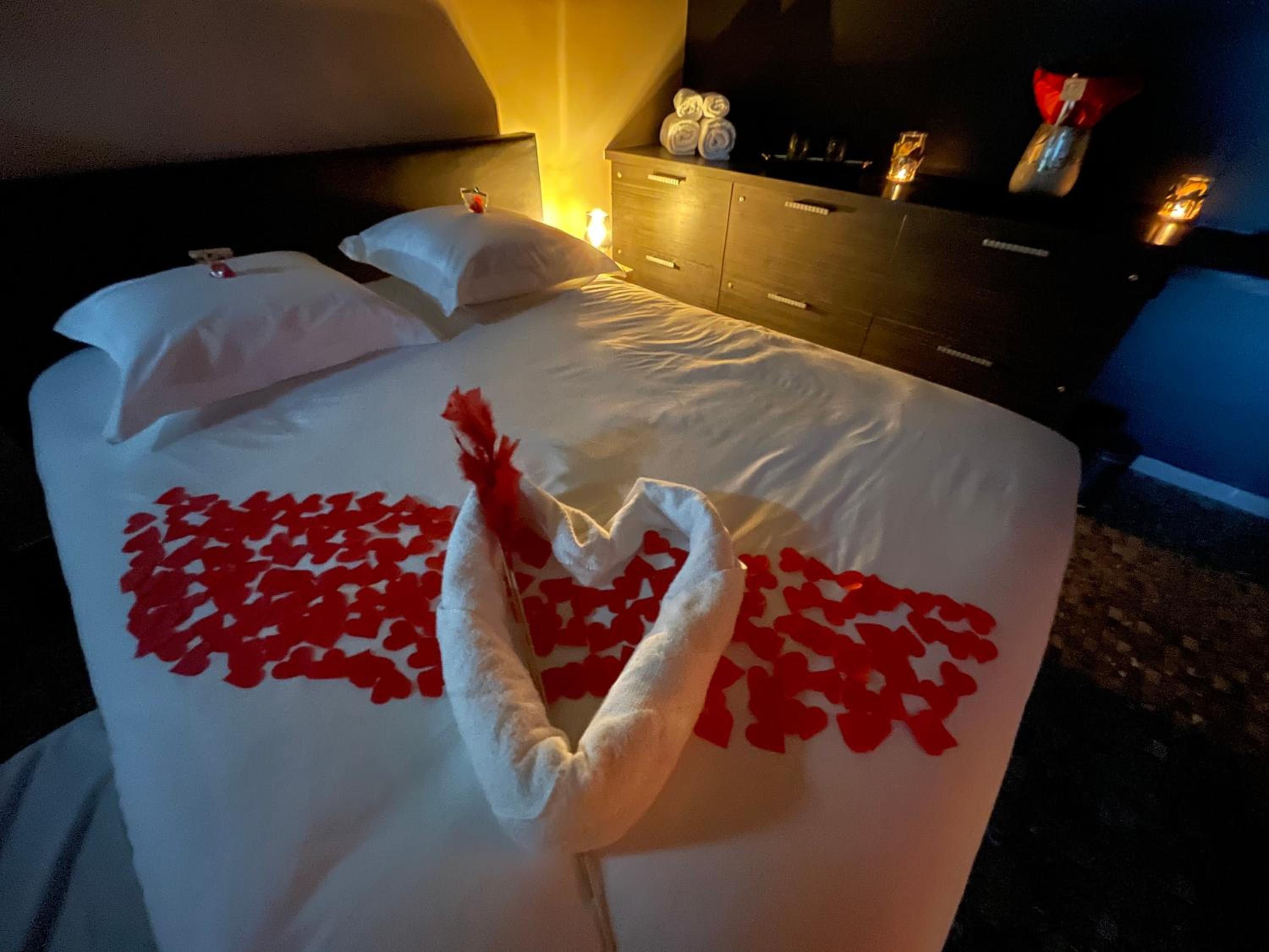 Octavie - Suite de luxe à Tournai avec piscine privée, jacuzzi, sauna et hammam
