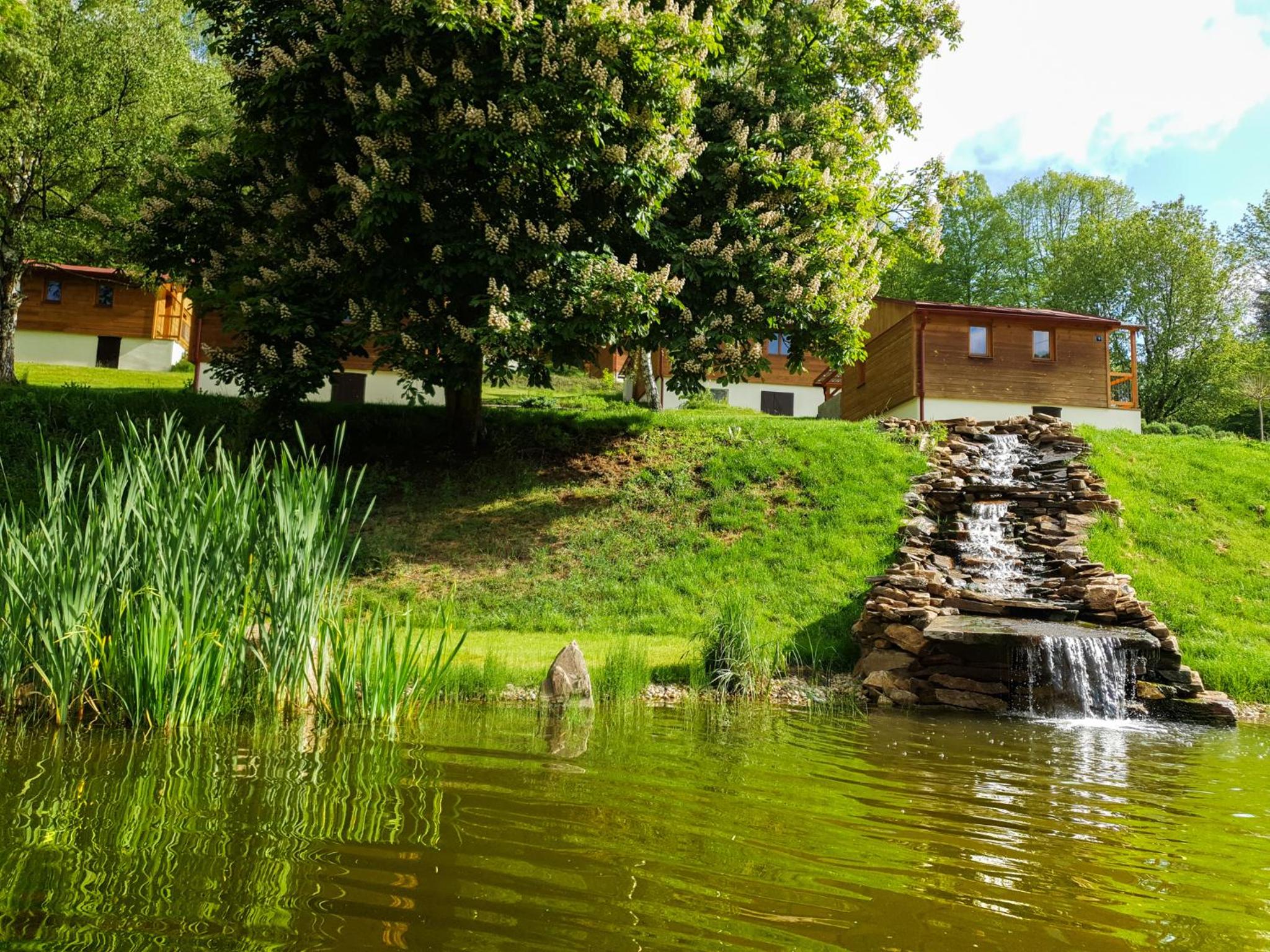 Photo 47