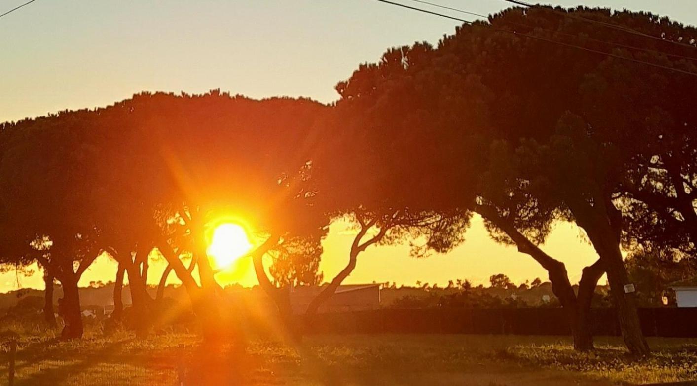 Sublime Sun & Van - By Meco Stays