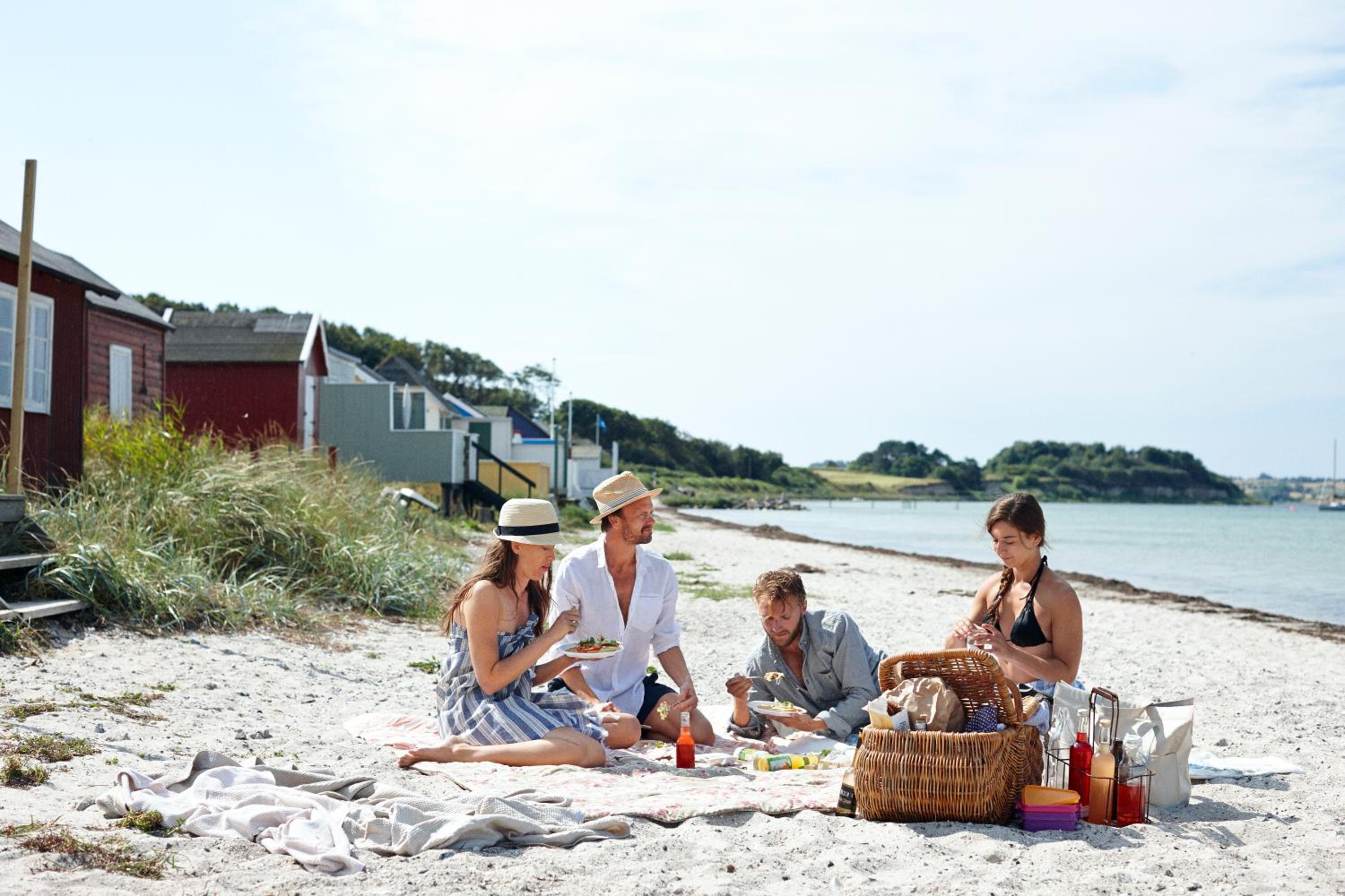 Jagthytten Skjoldemose