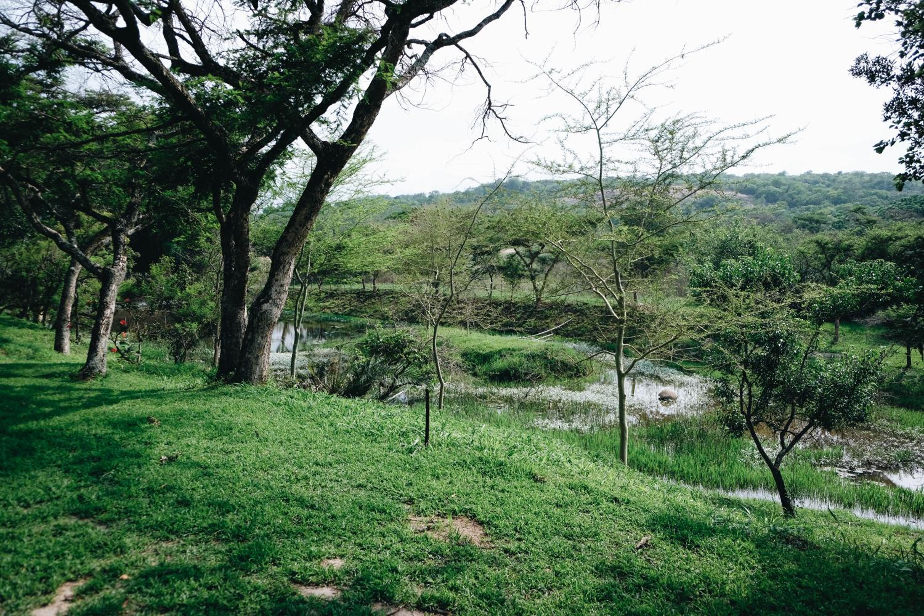 Photo 37