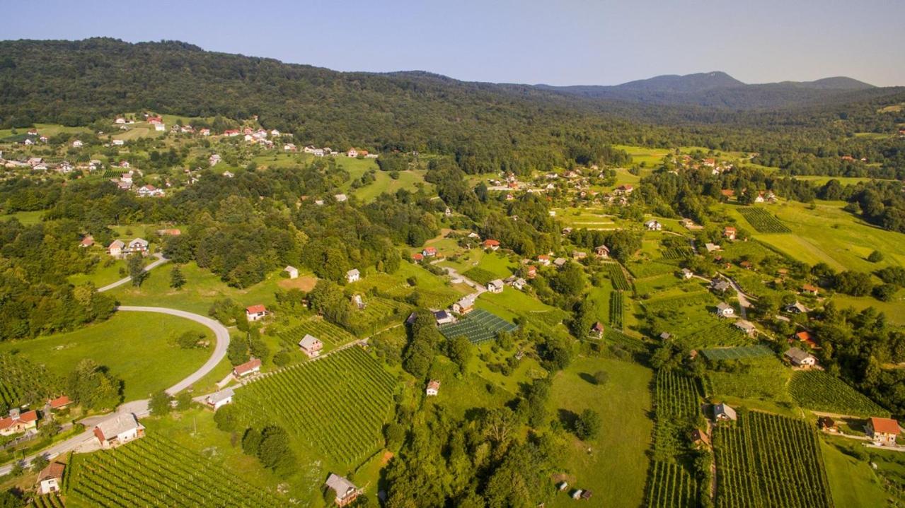 Vineyard Cottage Stepan en Črnomelj