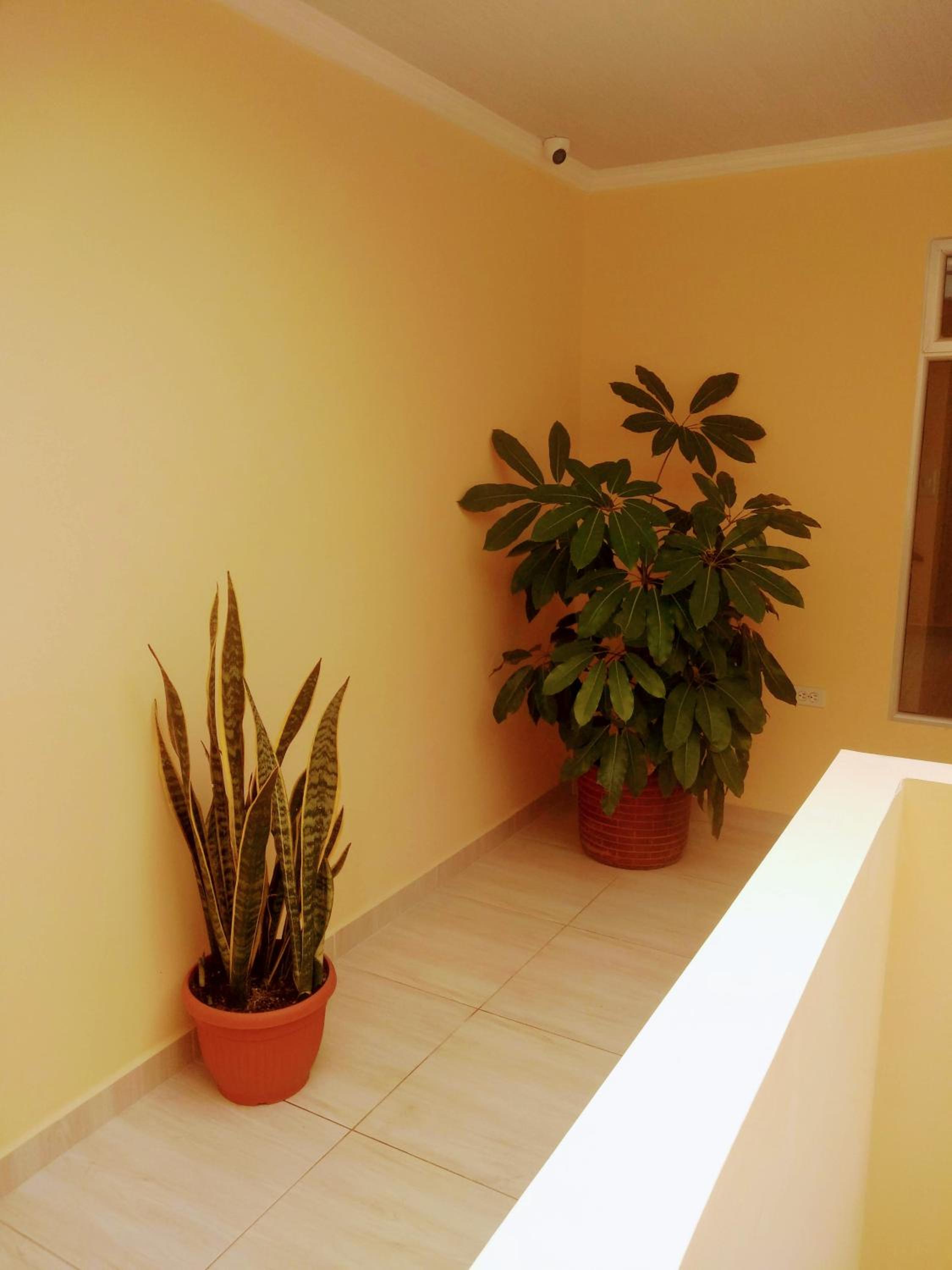 Hotel VIYAJE