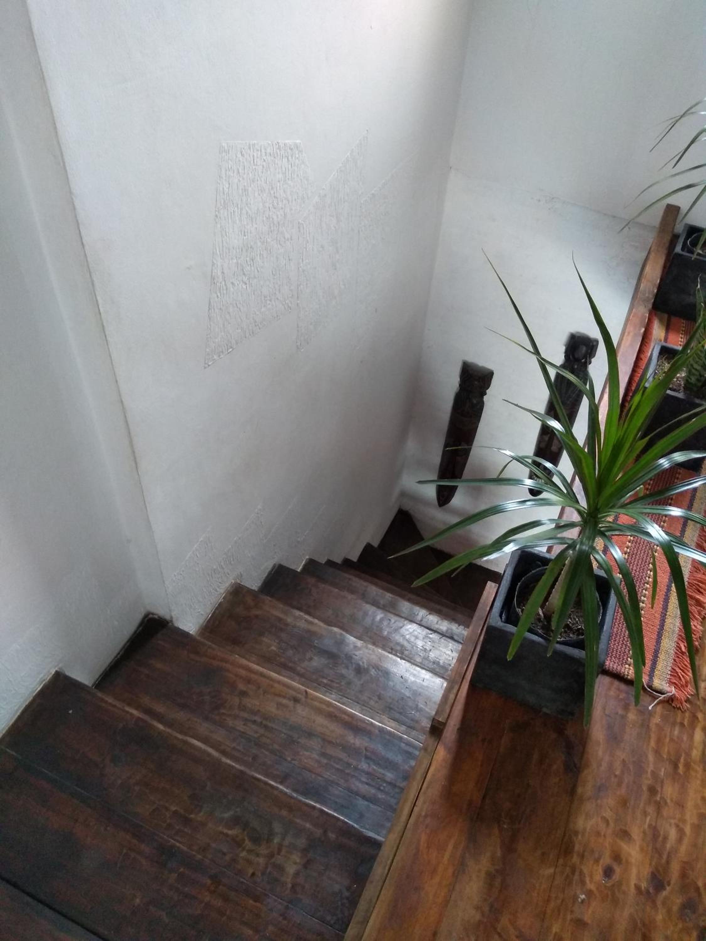 La Casa de Sebas One