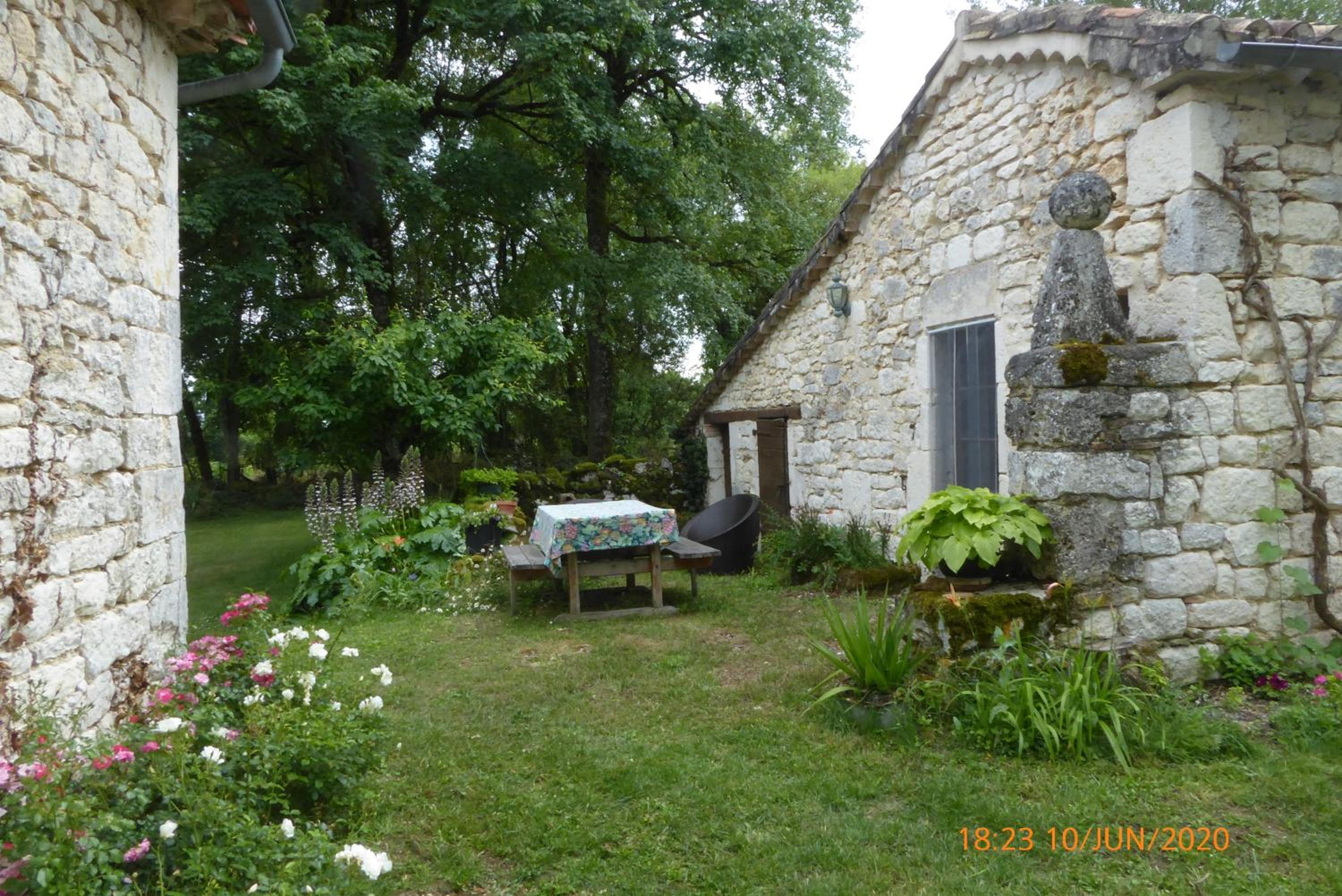 Photo 8