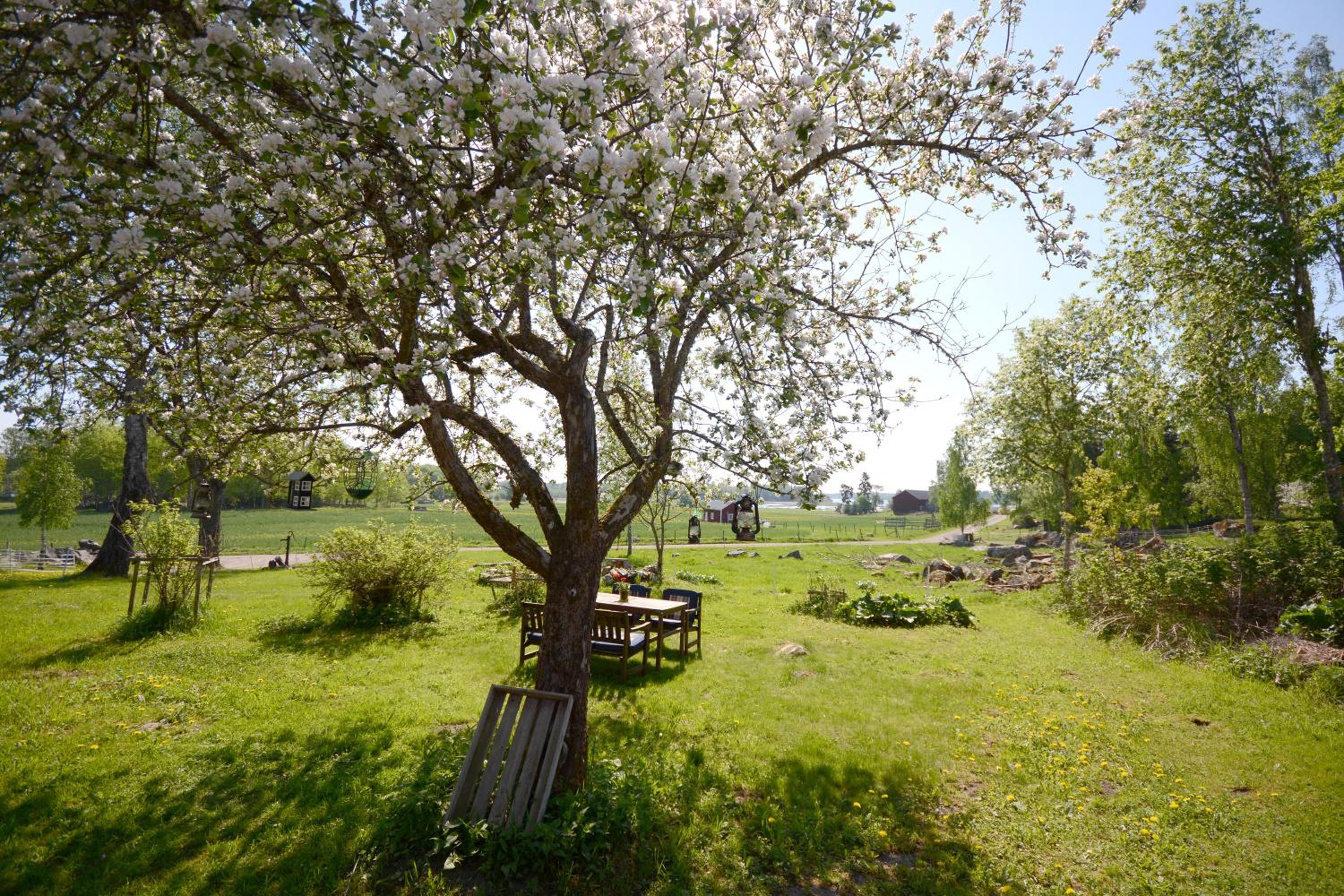 Eden's Garden Cottages