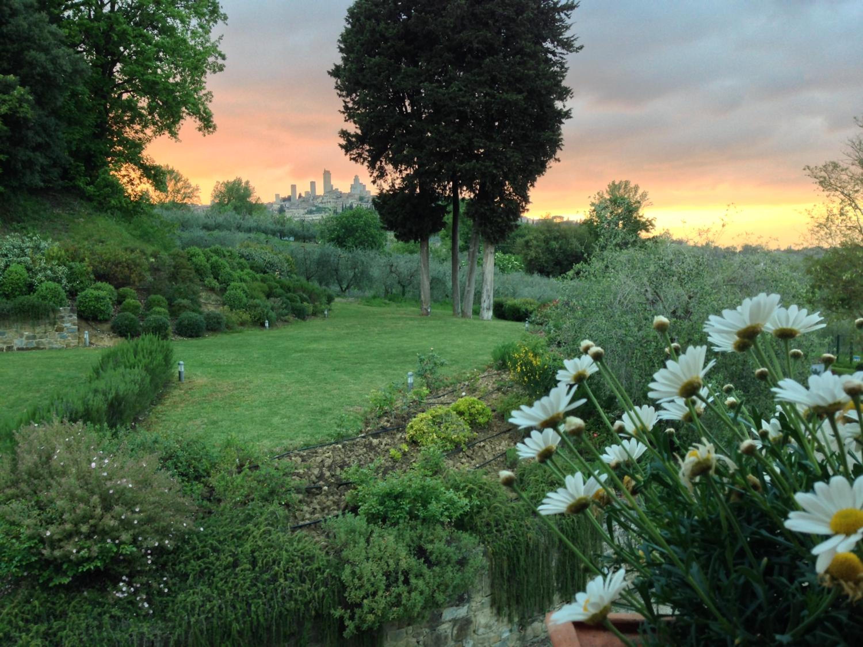 Tenuta Guardastelle - Agriturismo and vineyard photo 4