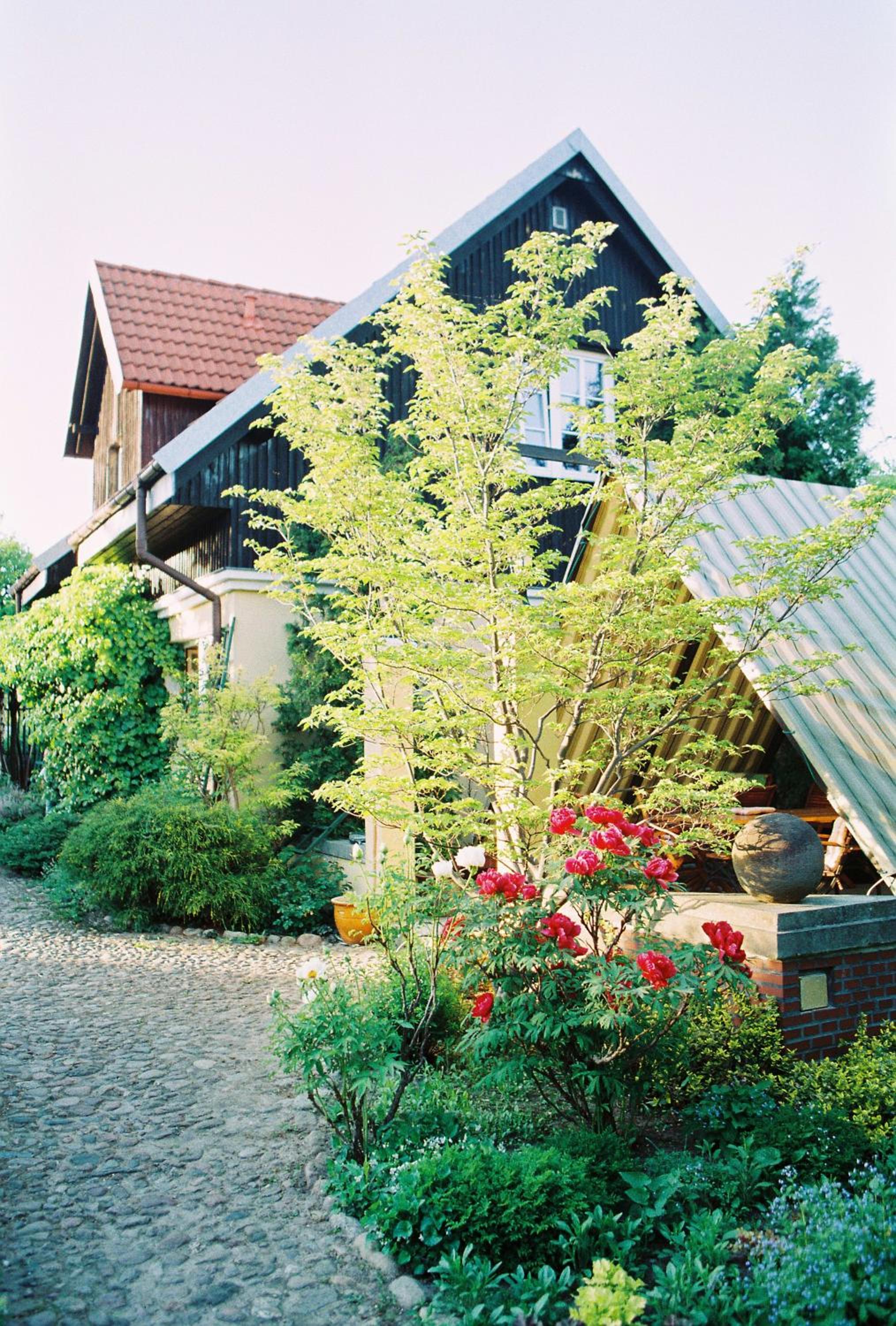 Photo 52