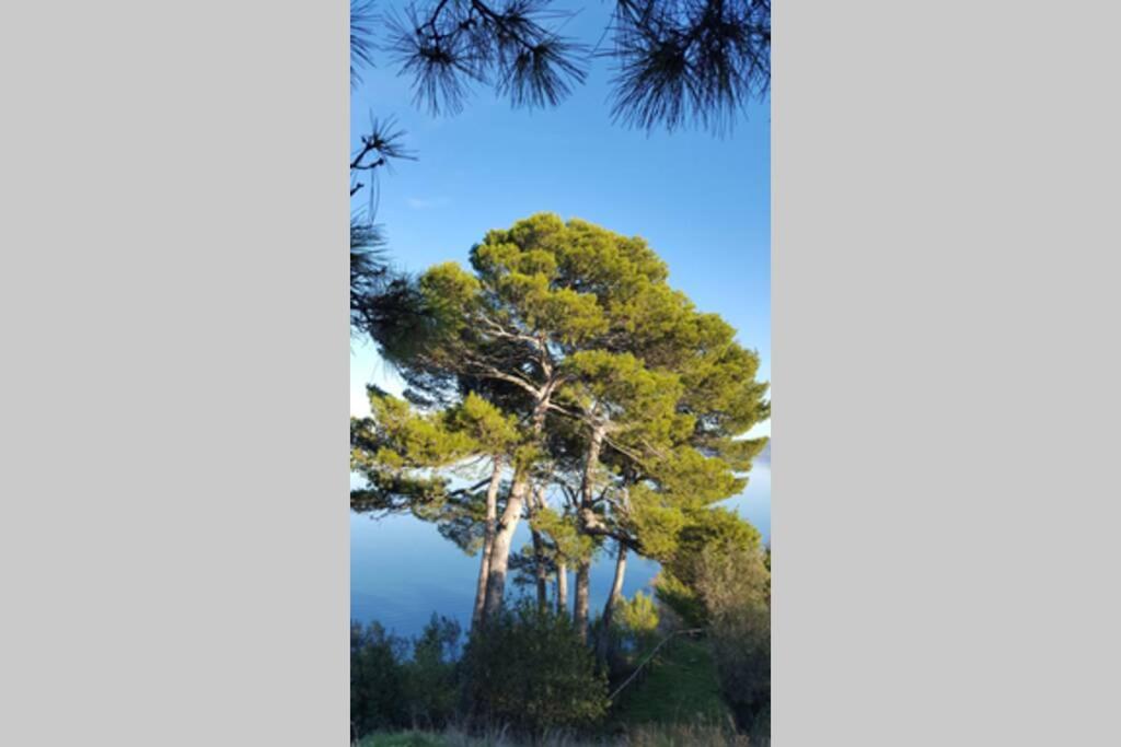 Bellavista la tua romantica vacanza sul Trasimeno