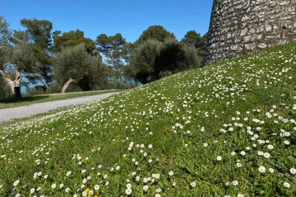 Bellavista la tua romantica vacanza sul Trasimeno