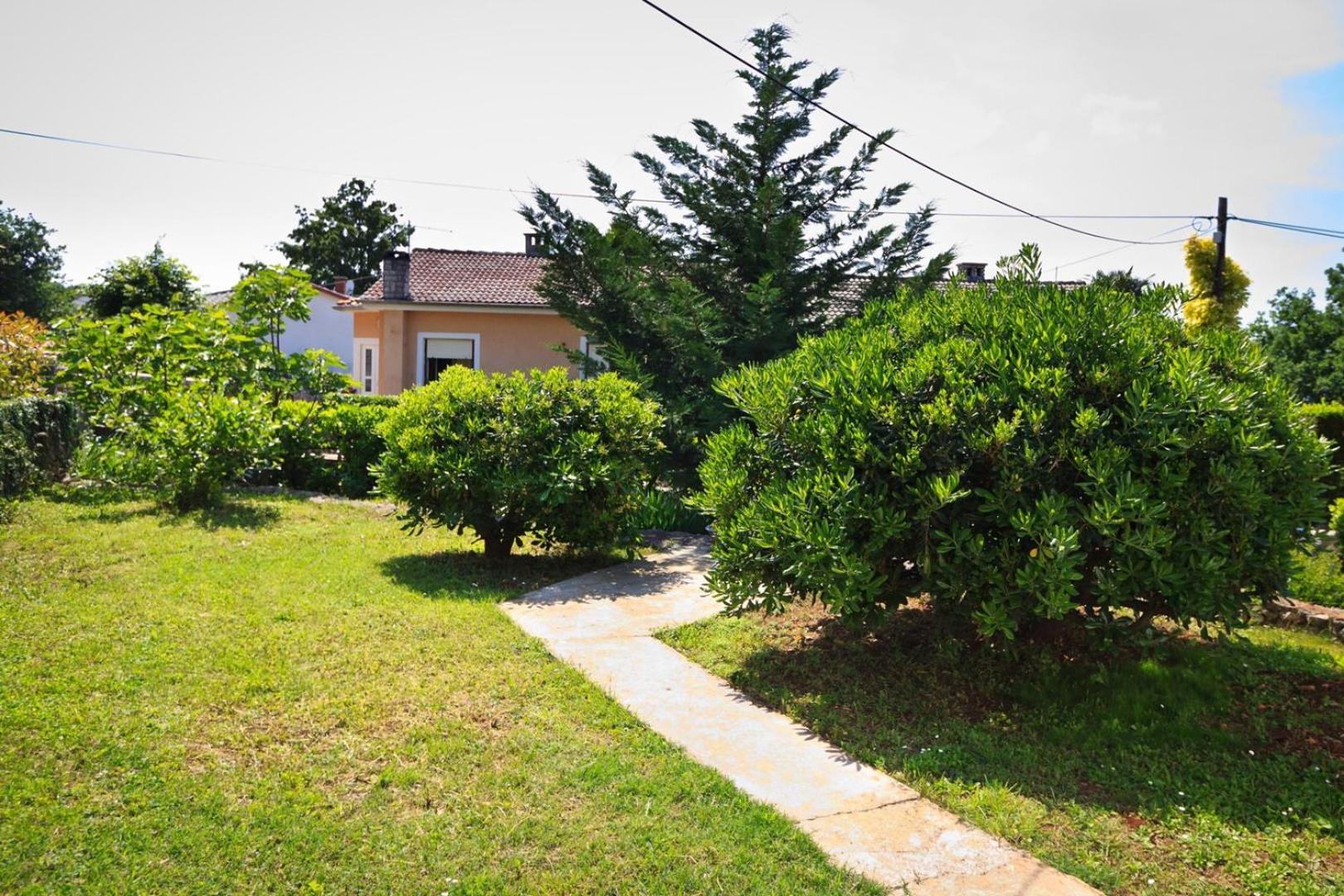 Vacation house Luka view 4