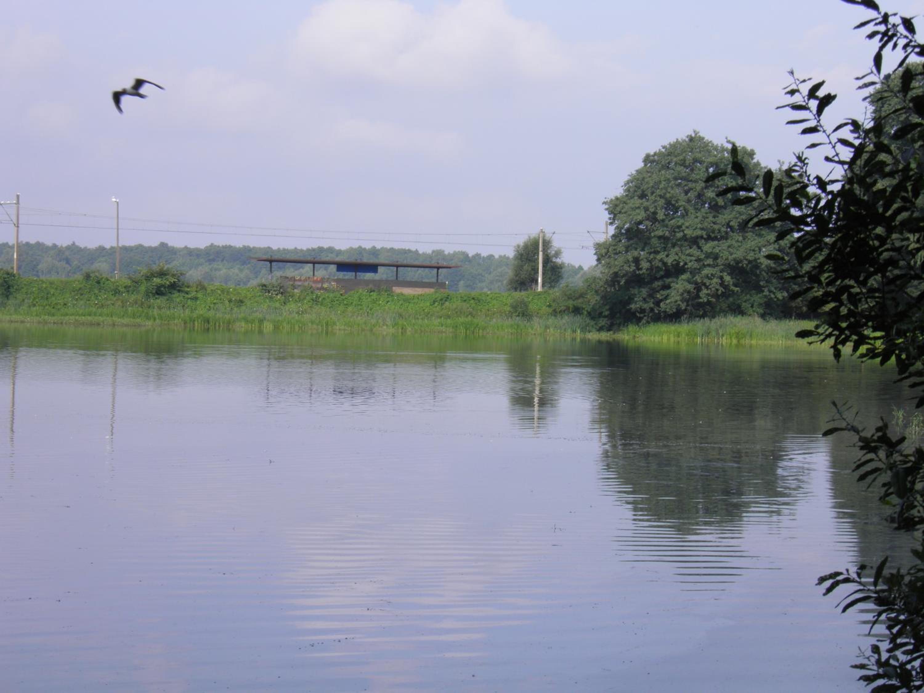 Photo 49