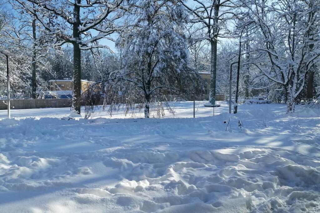 Apartament w Puszczy Białowieskiej, photo 13