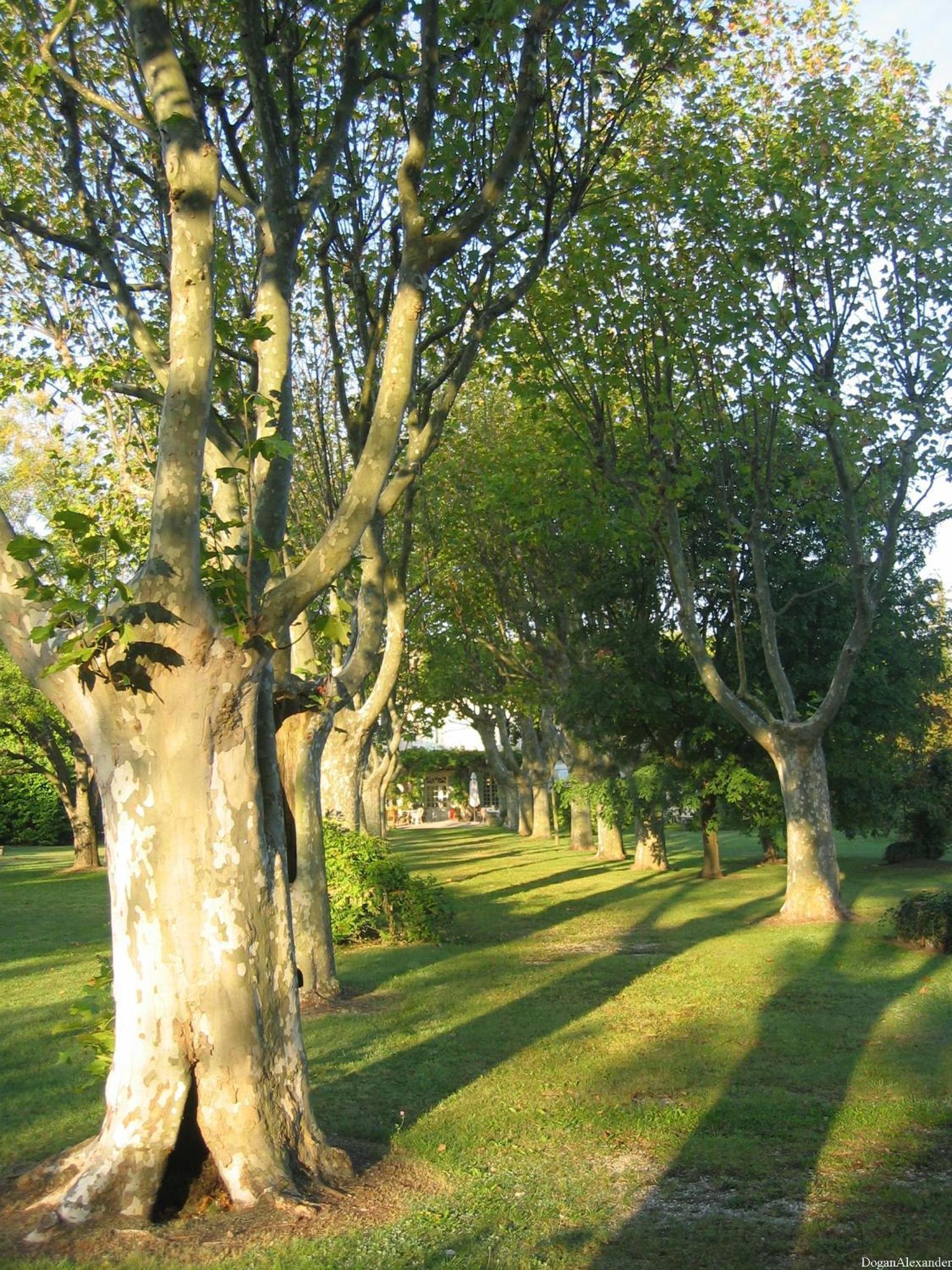 Photo 44