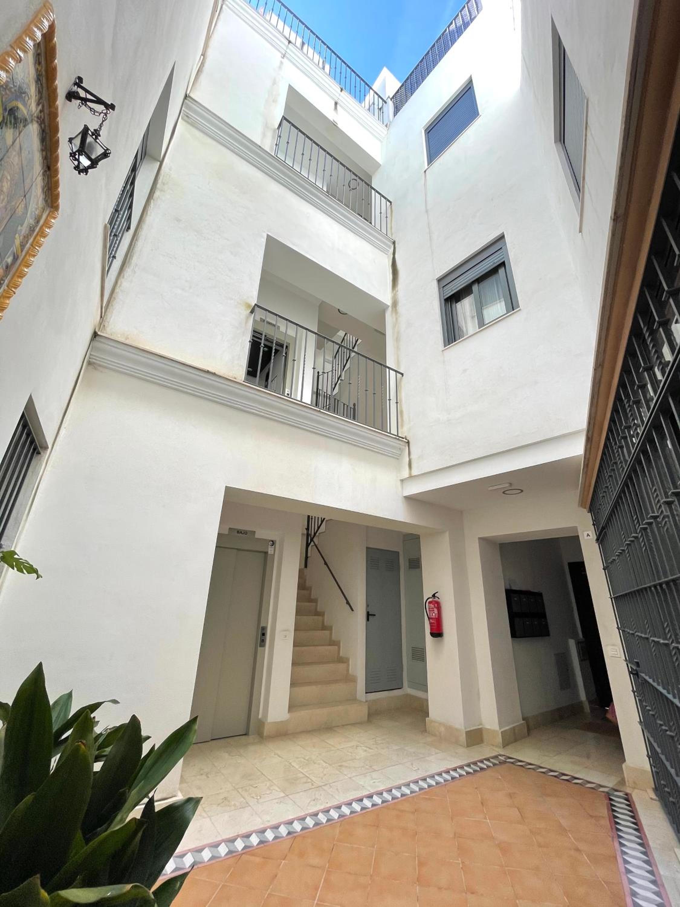 Remolars Sevilla view 5