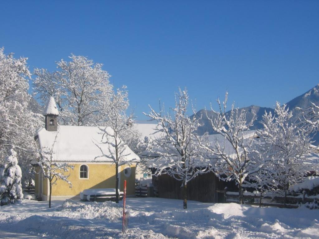 Beim Lenz view 2