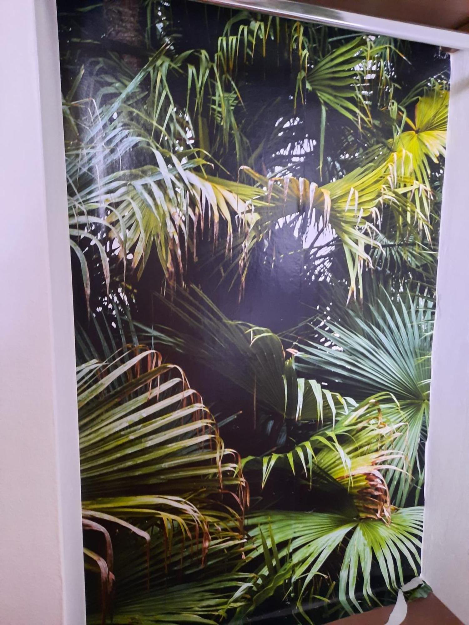 Frankie’s House, 写真 81